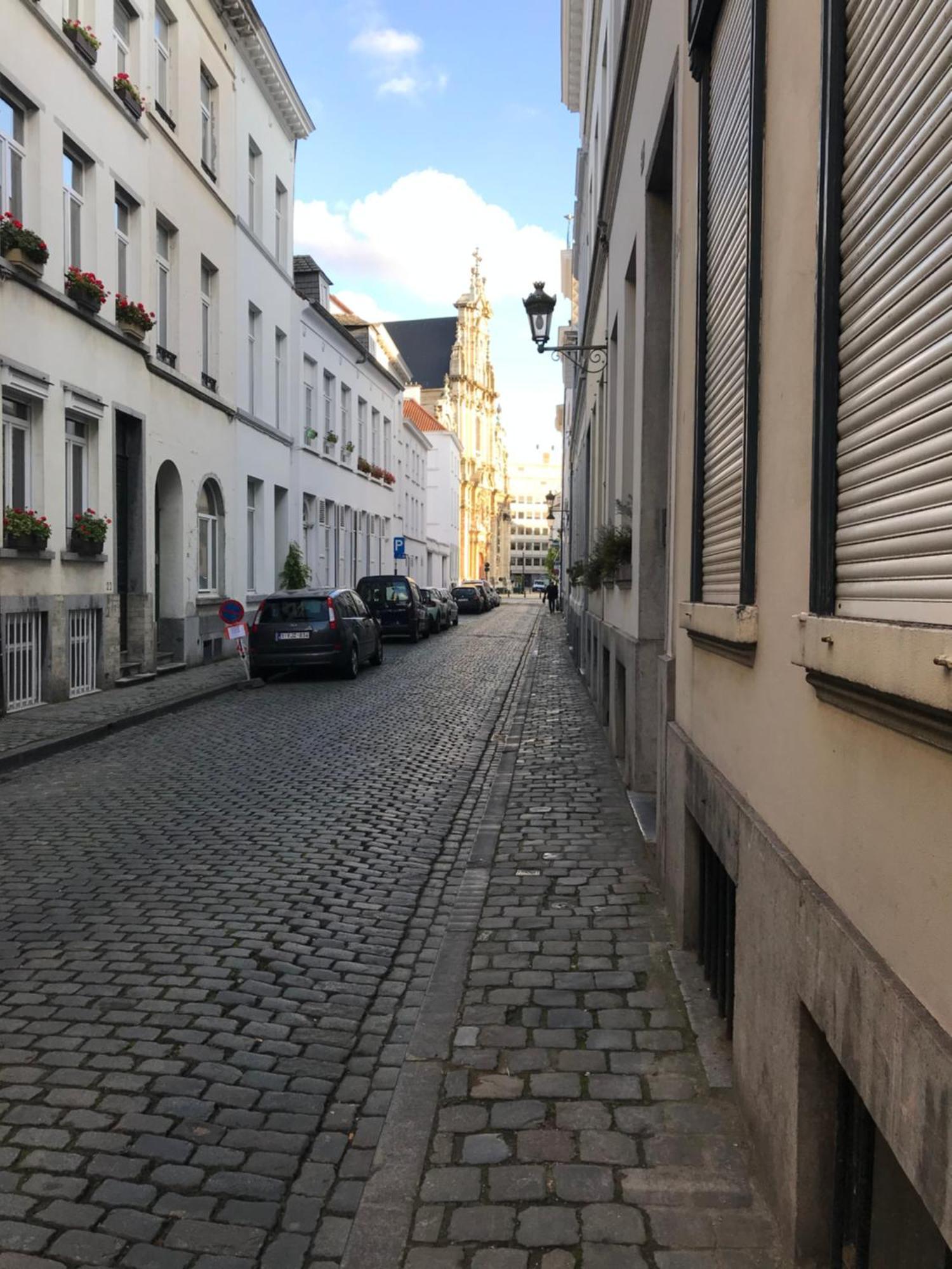 Villa Jardin Du Beguinage - Peaceful Luxury In Brussels