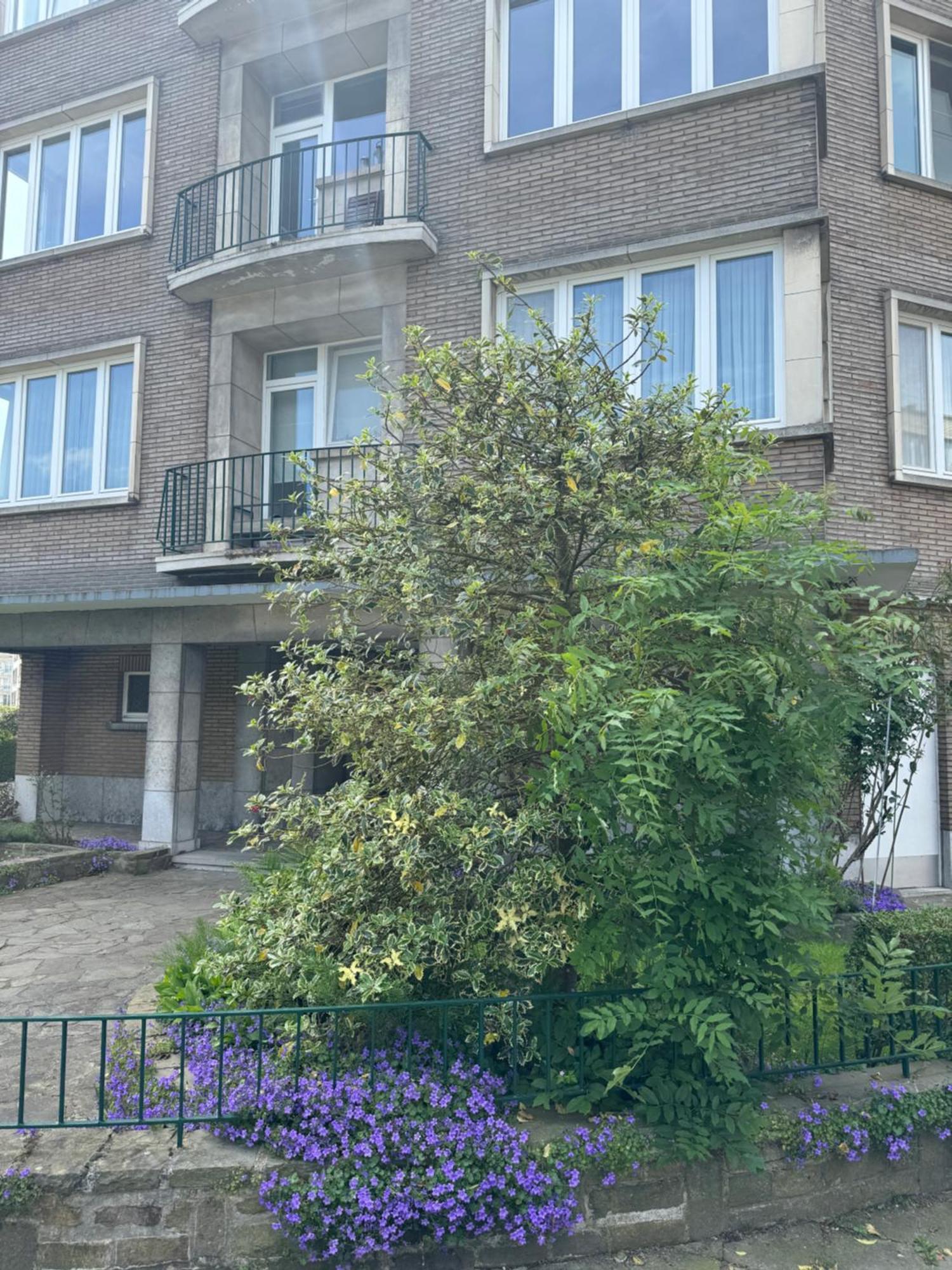 Apartment Ixelles 2 Chambres, 3 Lits *