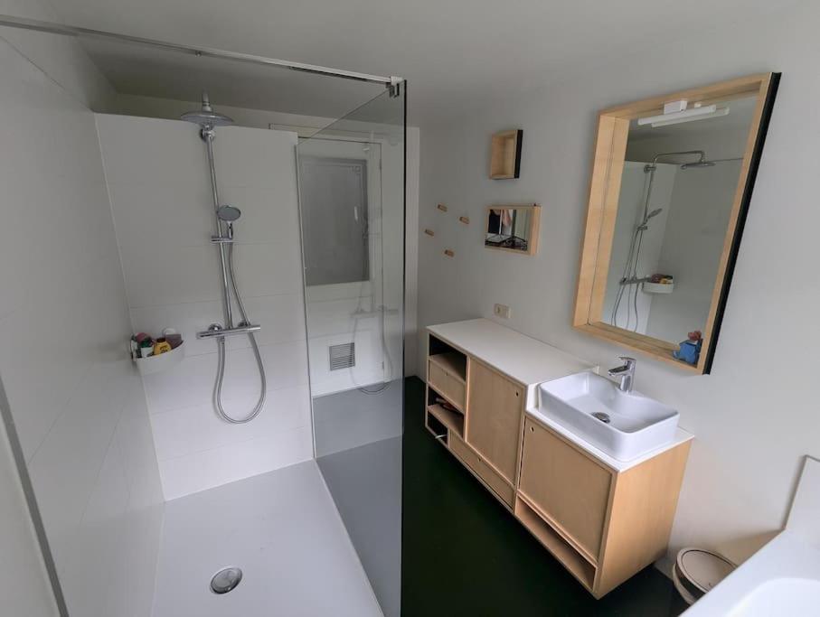 Apartment Charming House With Garden Brussels