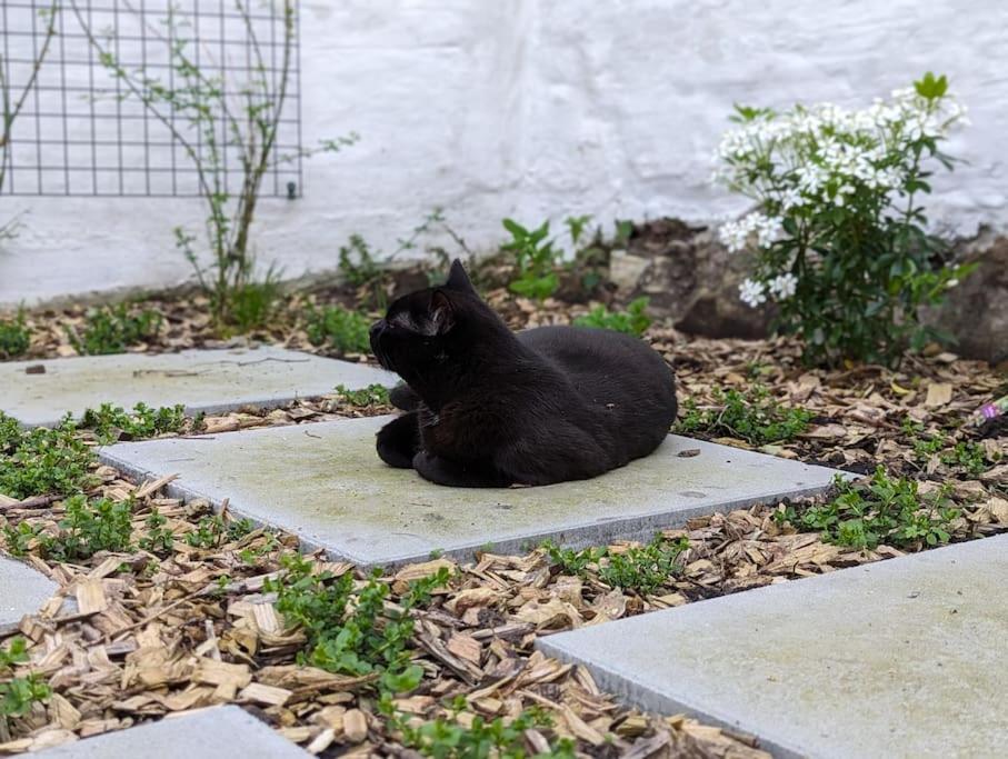 Charming House With Garden * Brussels