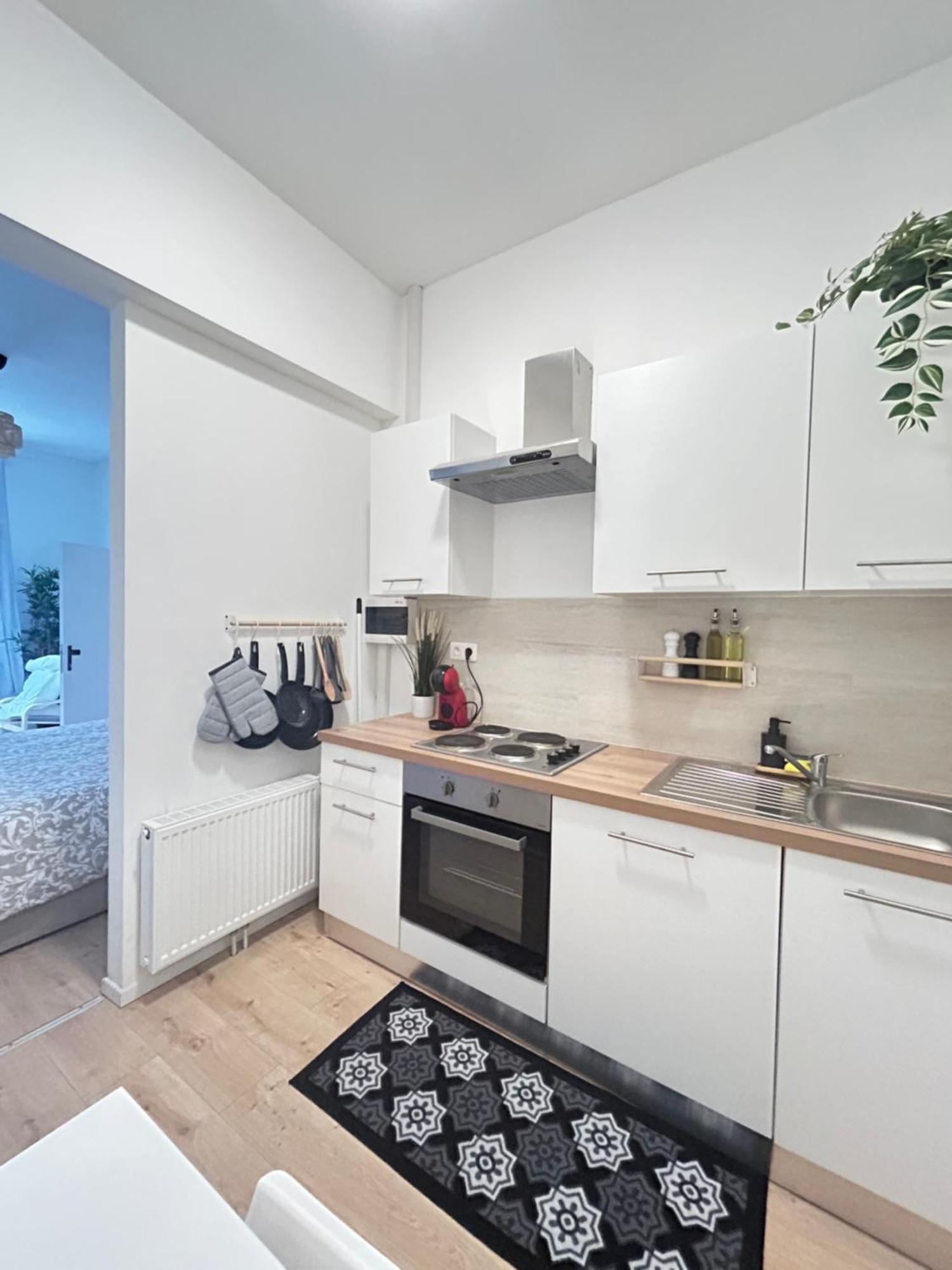 Chaleureux Et Accueillant Apartment Brussels