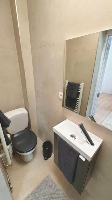 Apartment Au Coeur Du Parvis De Saint-gilles *