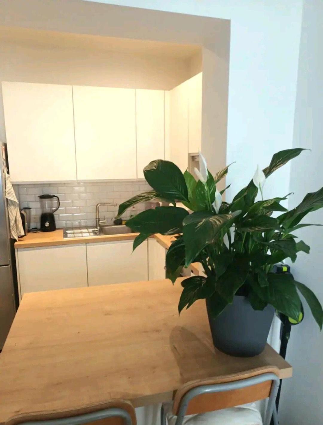 Beautiful 2 Bedroom In Place Flagey Bxl *