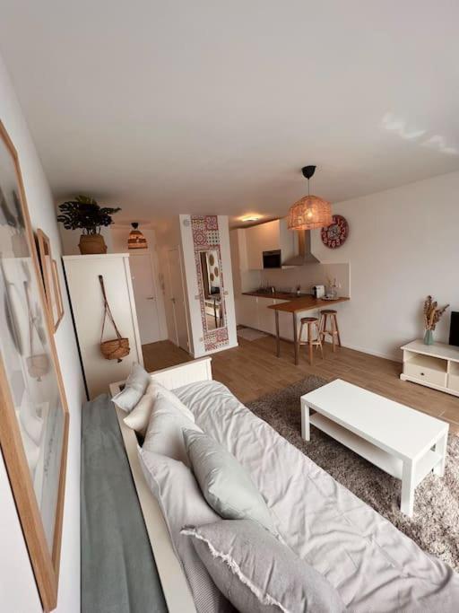 Apartment Flat Moderne Et Lumineux