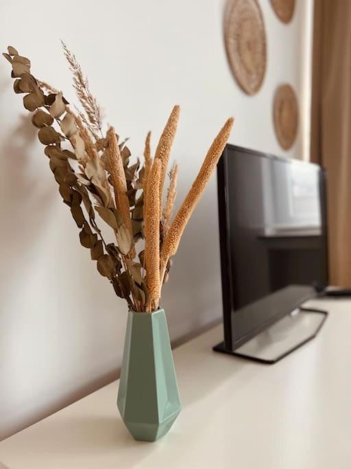 Flat Moderne Et Lumineux Apartment Brussels