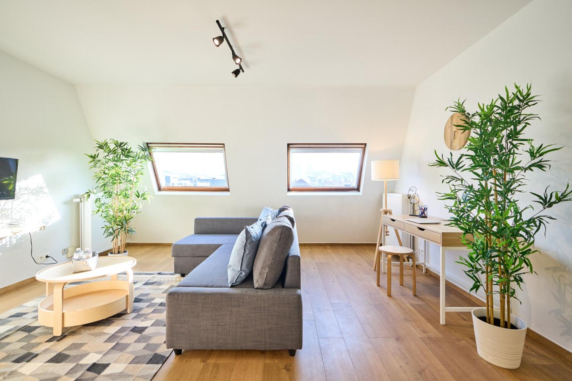 Anspach 1 Bedroom Apartment *