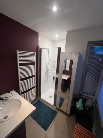 Fantastic Large House * Brussels