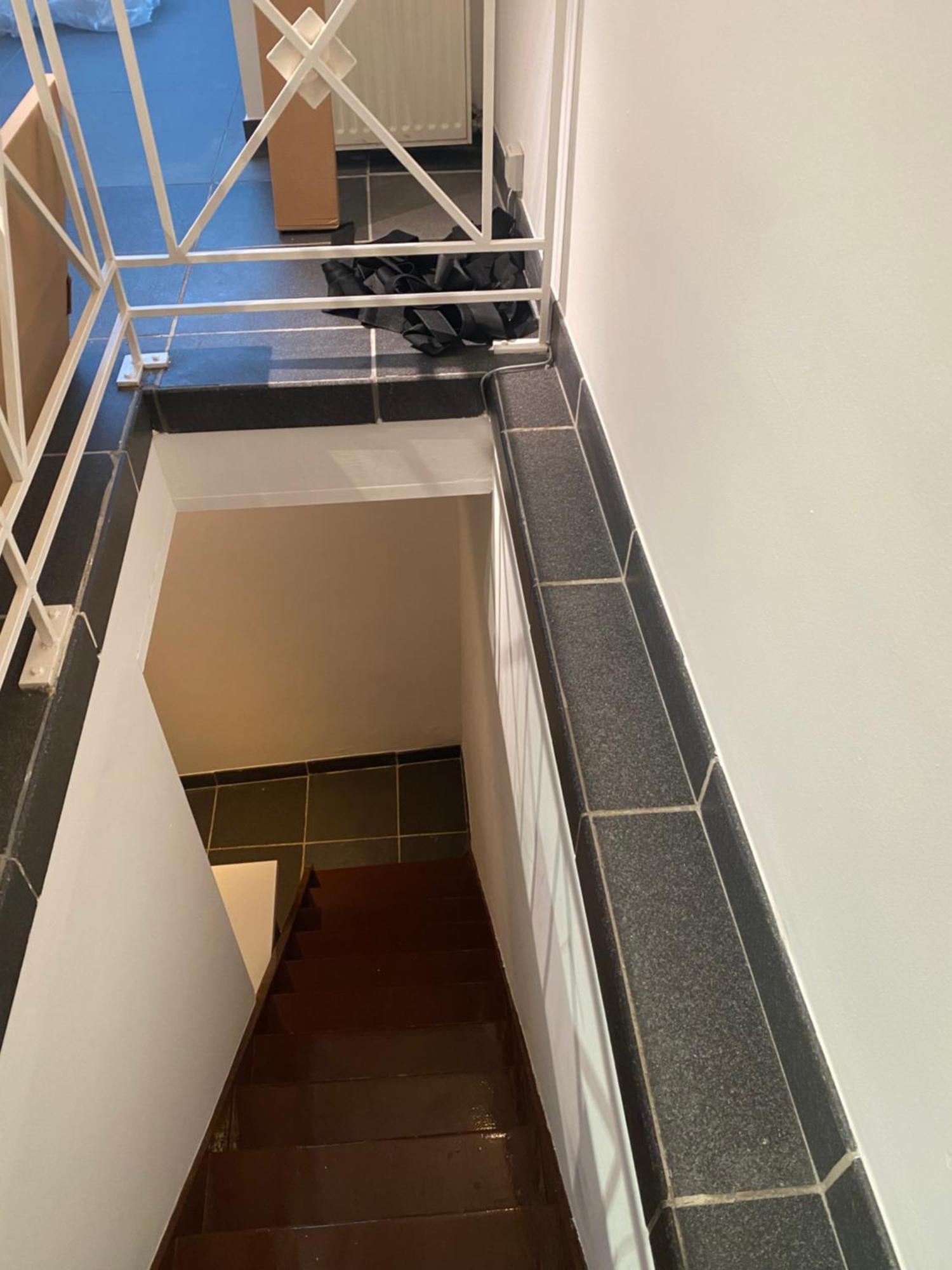 Fly Forest Rez Jardin Brussels