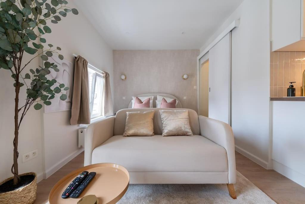 Charmant Studio City Center Brussels