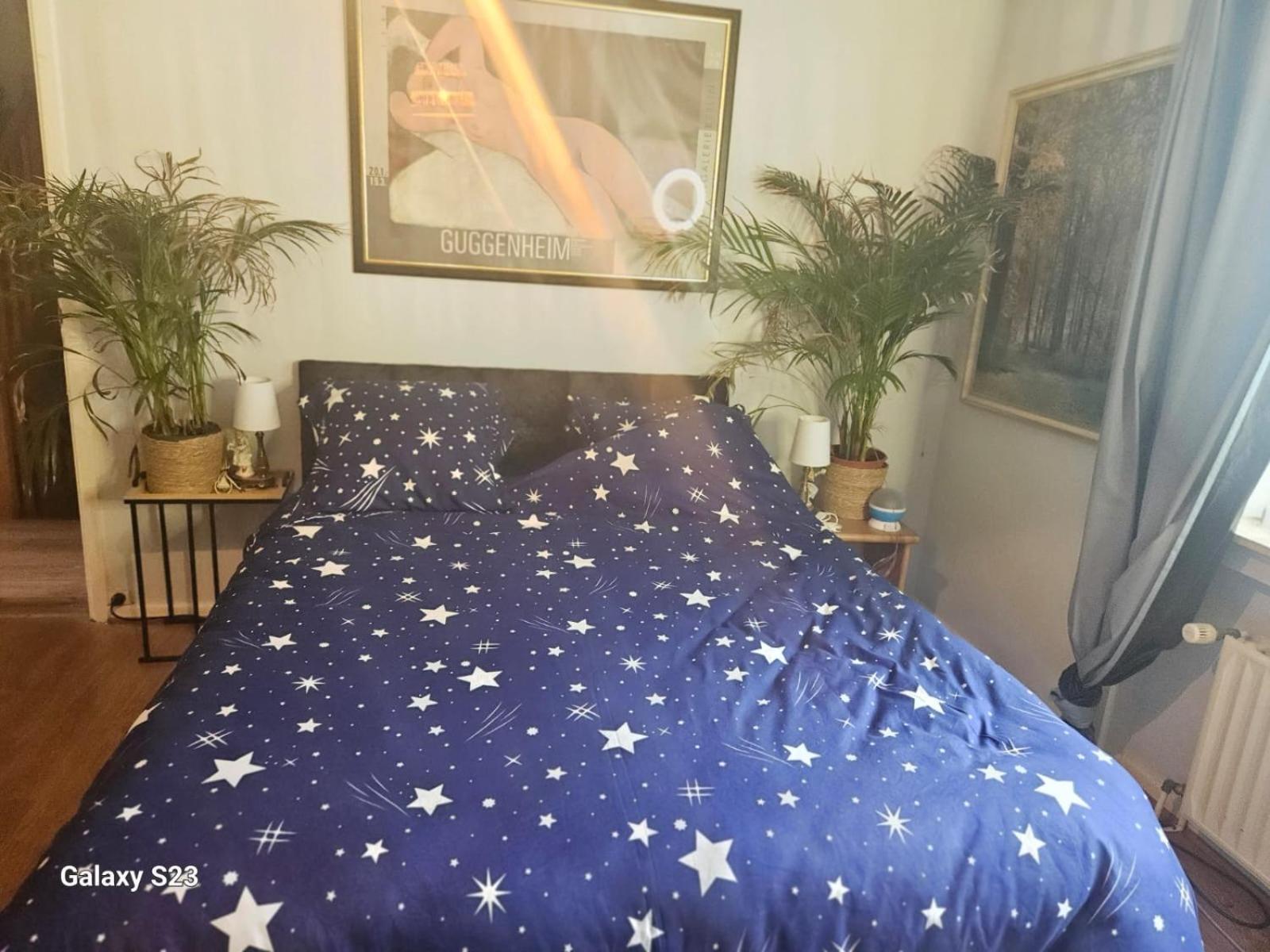 Bed & Breakfast Serenity Big