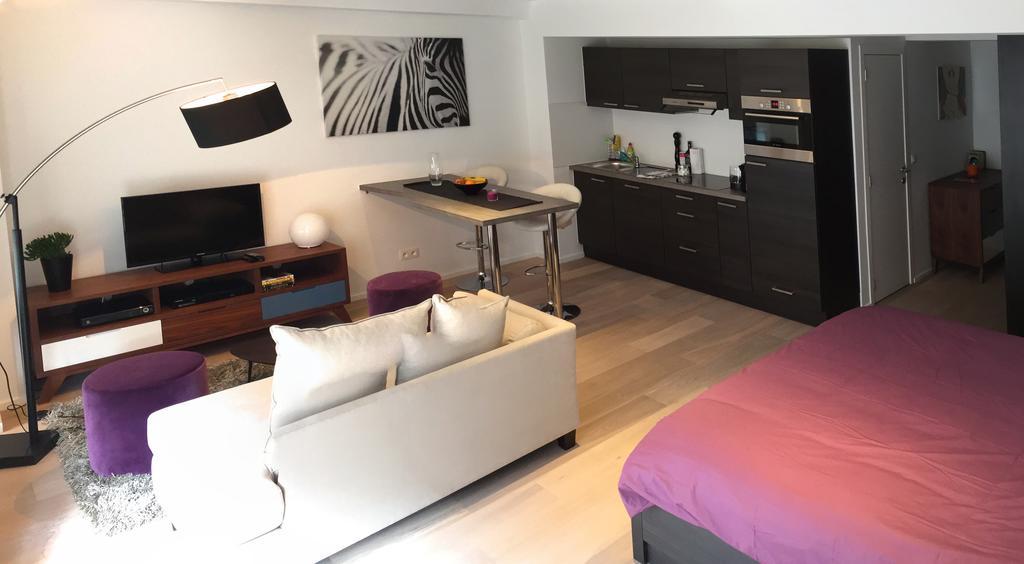 Apartment Flat Moliere *