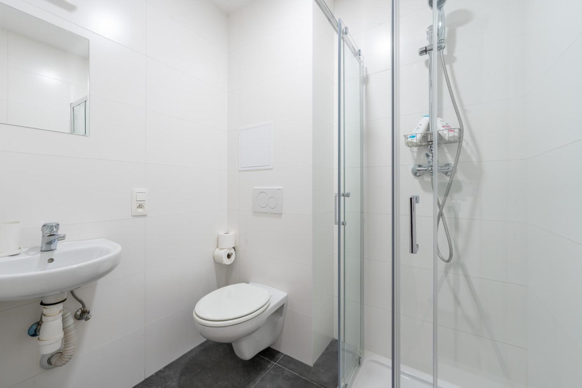 Apartment 6 Bedroom House With Private Bathrooms In Bxl Downtown *