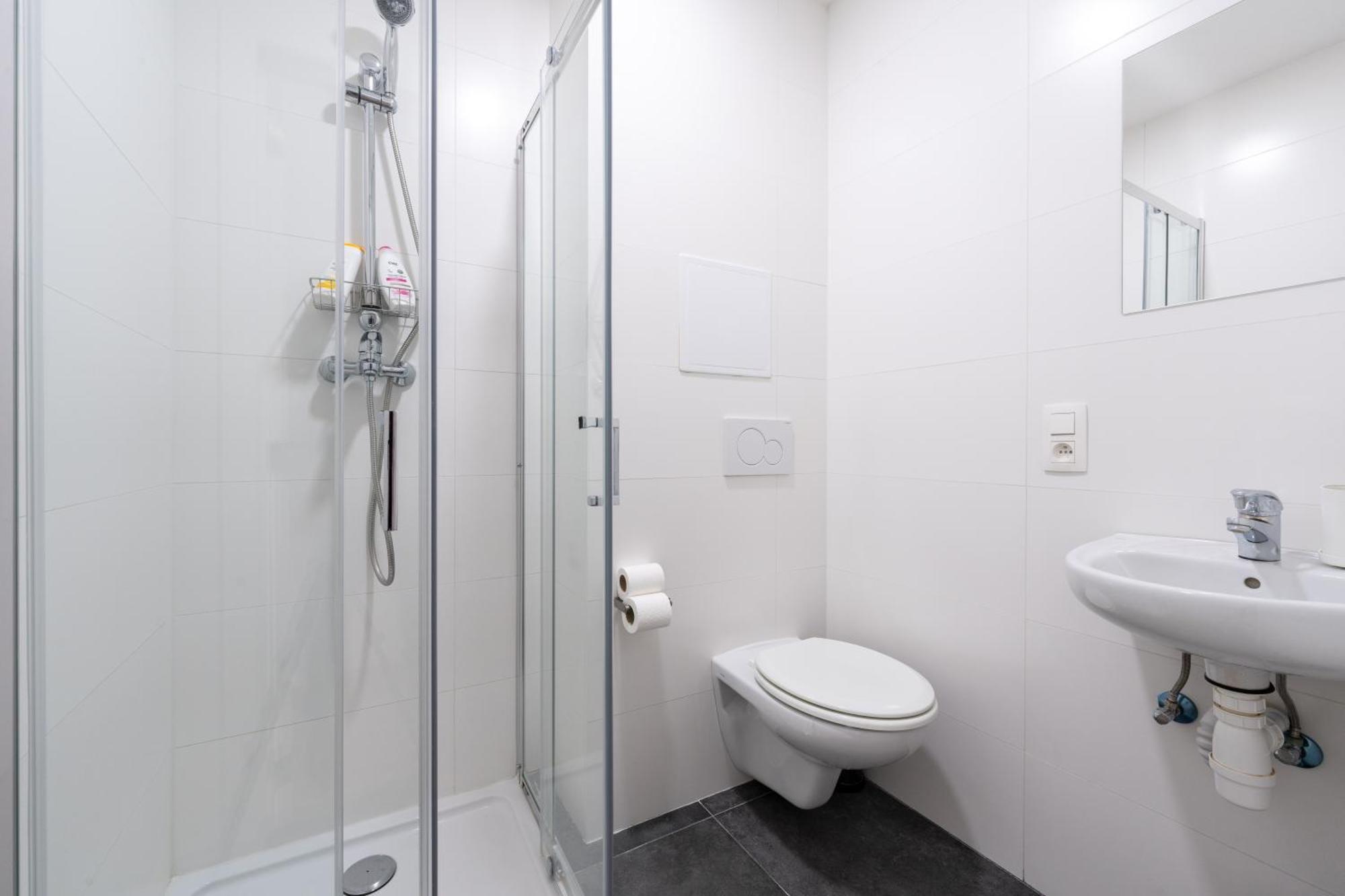 Apartment 6 Bedroom House With Private Bathrooms In Bxl Downtown Brussels