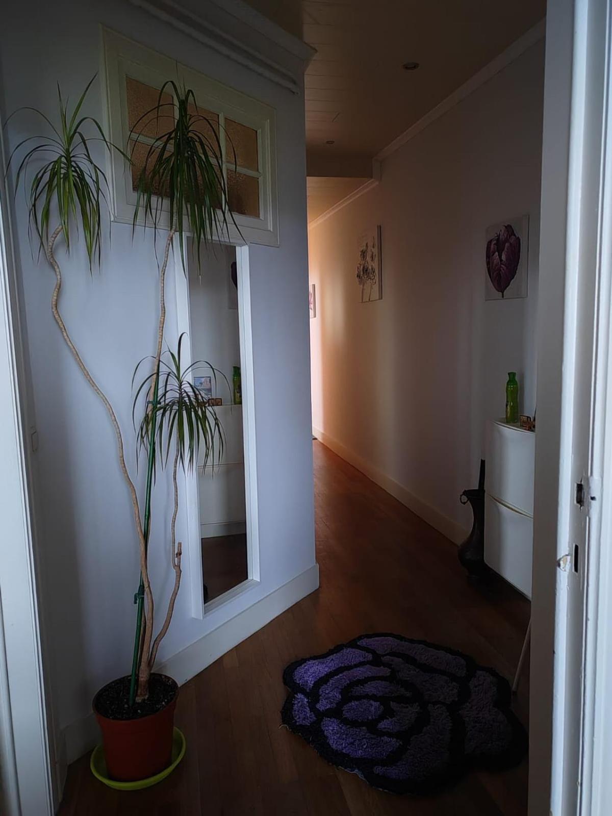 Appartement Atomium Ap Brussel