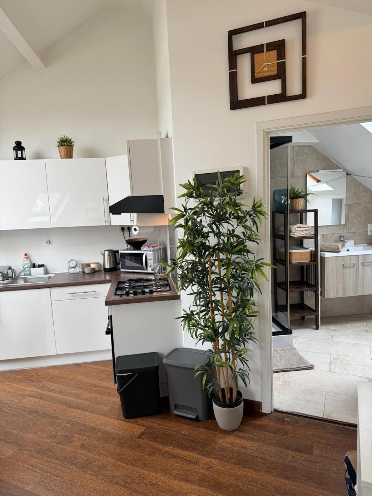 Historical Centre In The Heart Of * Brussels