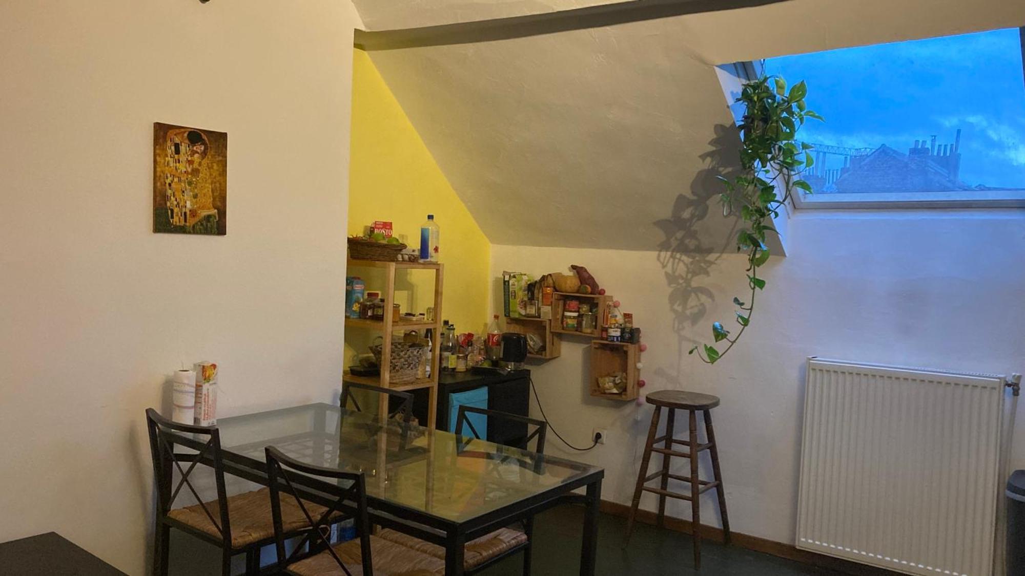 Cozy Duplex A Saint-gilles Apartment Brussels