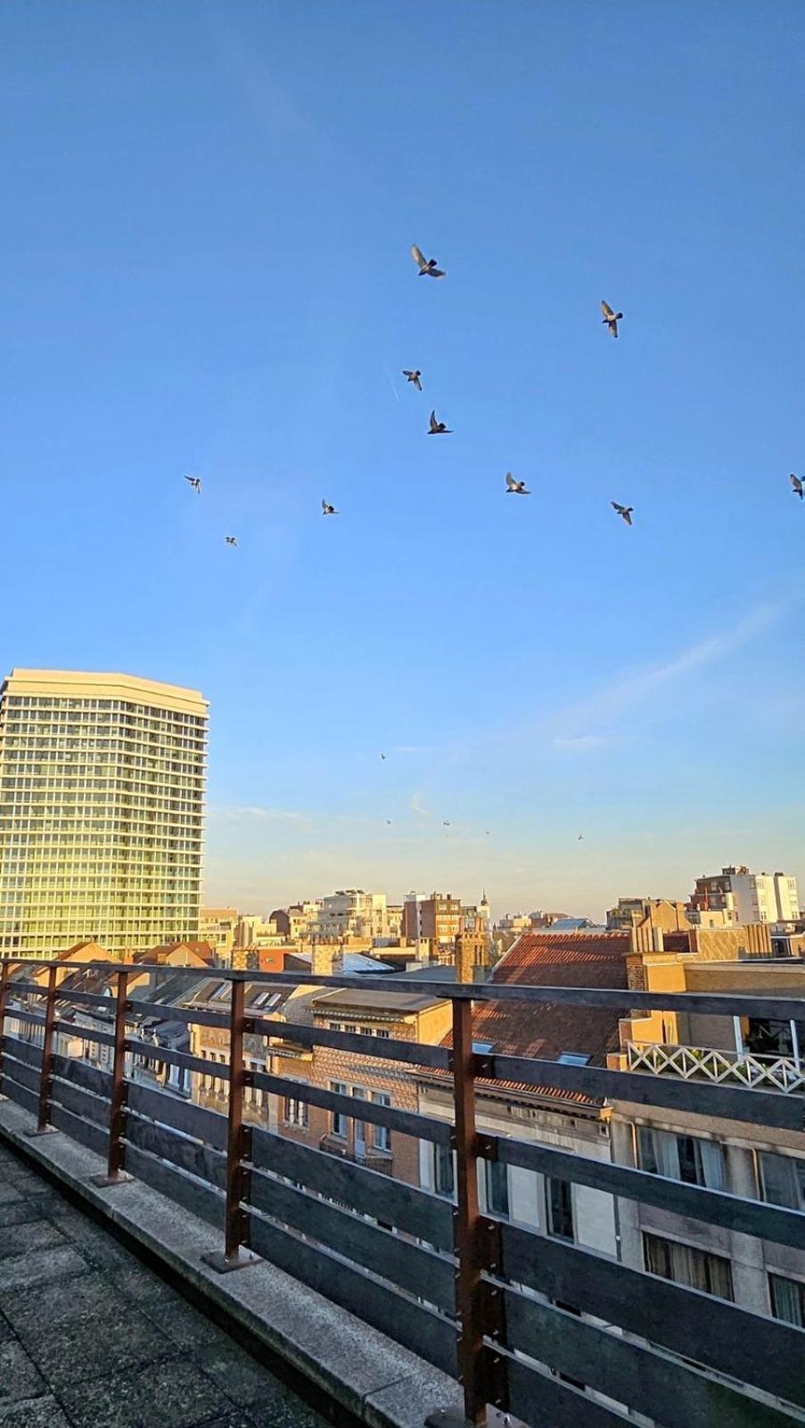 Penthouse Lumineux Avec Grande Terrasse De 40m2 Apartment