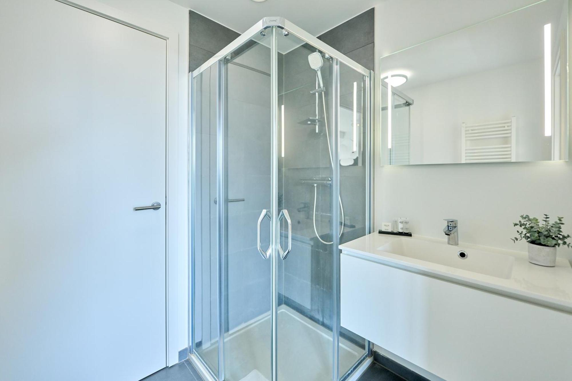 Spacious In Brussels