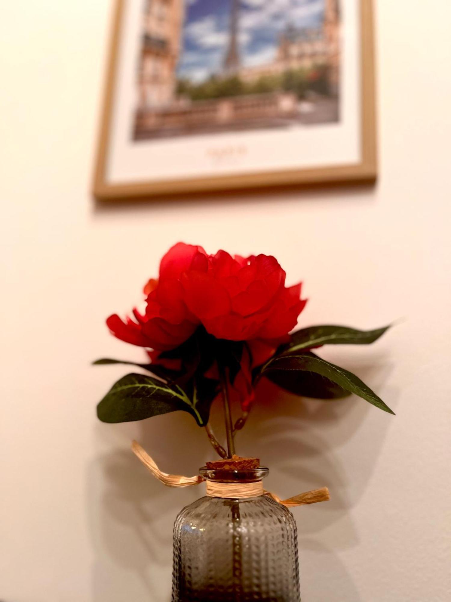 Apartment Cosy - Quartier Chatelain *