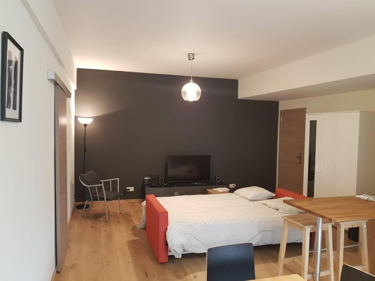 Renovated One Bedroom Schuman Area Căn hộ *