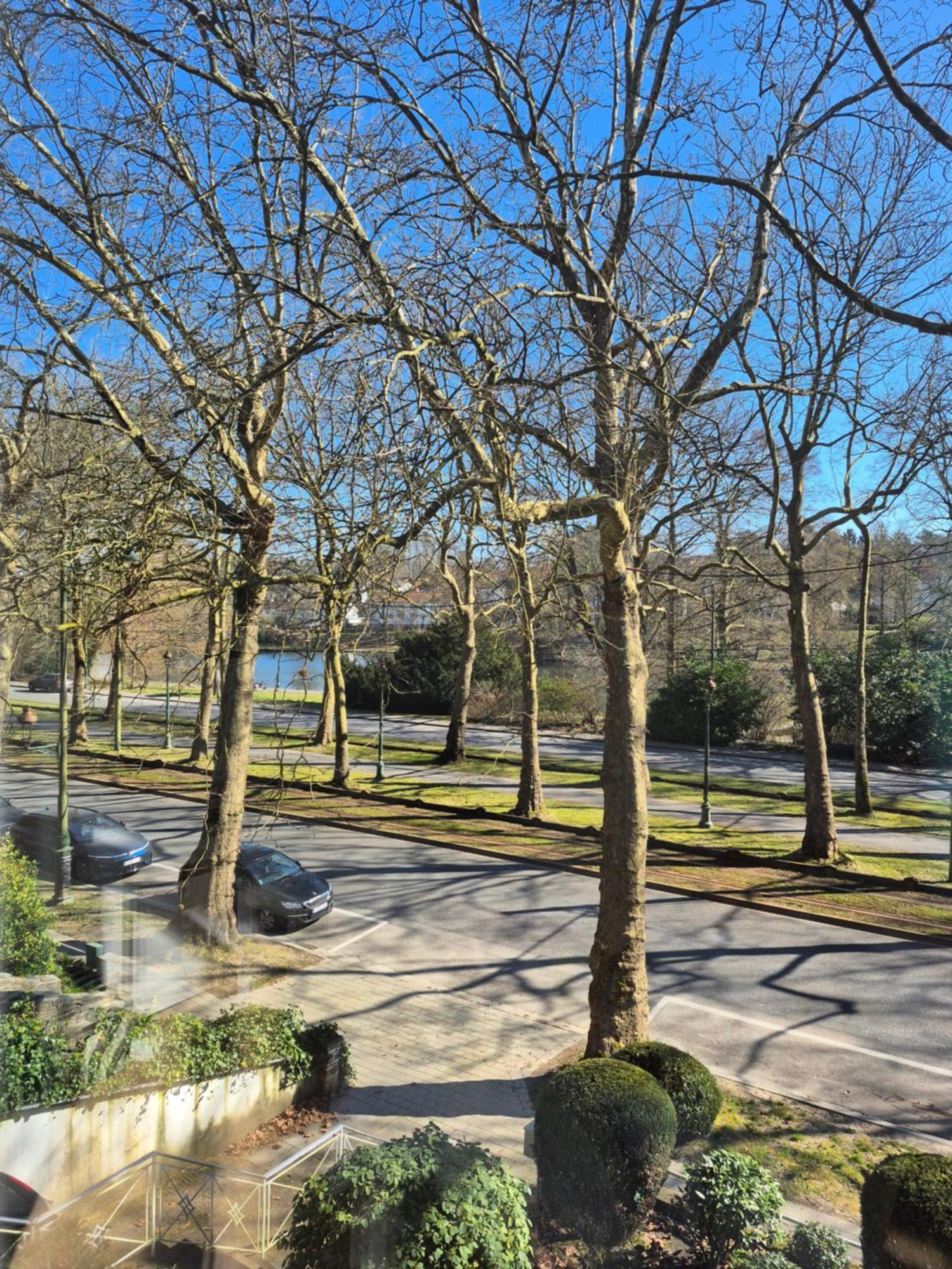 Bed & Breakfast Souverain 94 *