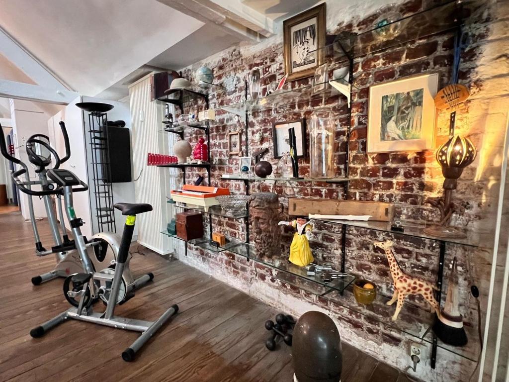 Le Loft Des Artistes Apartment