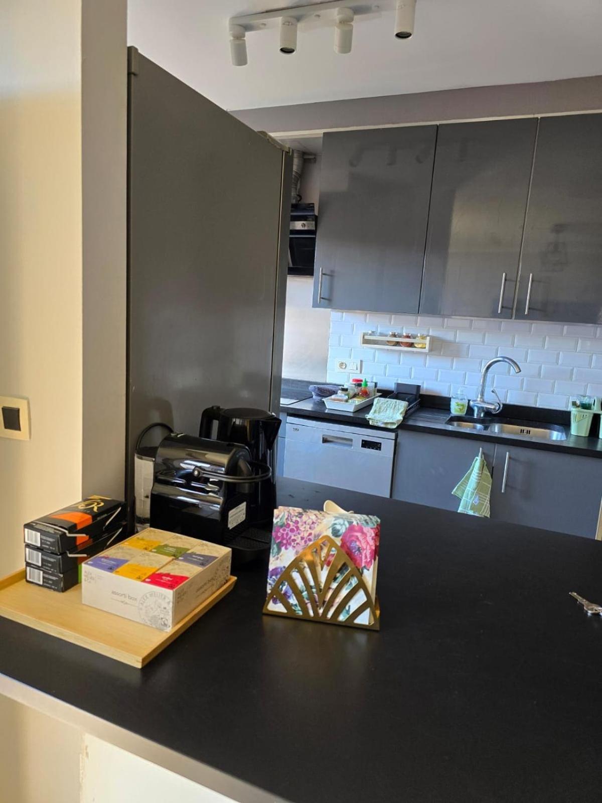 Strelitzyahouse Apartment Brussels