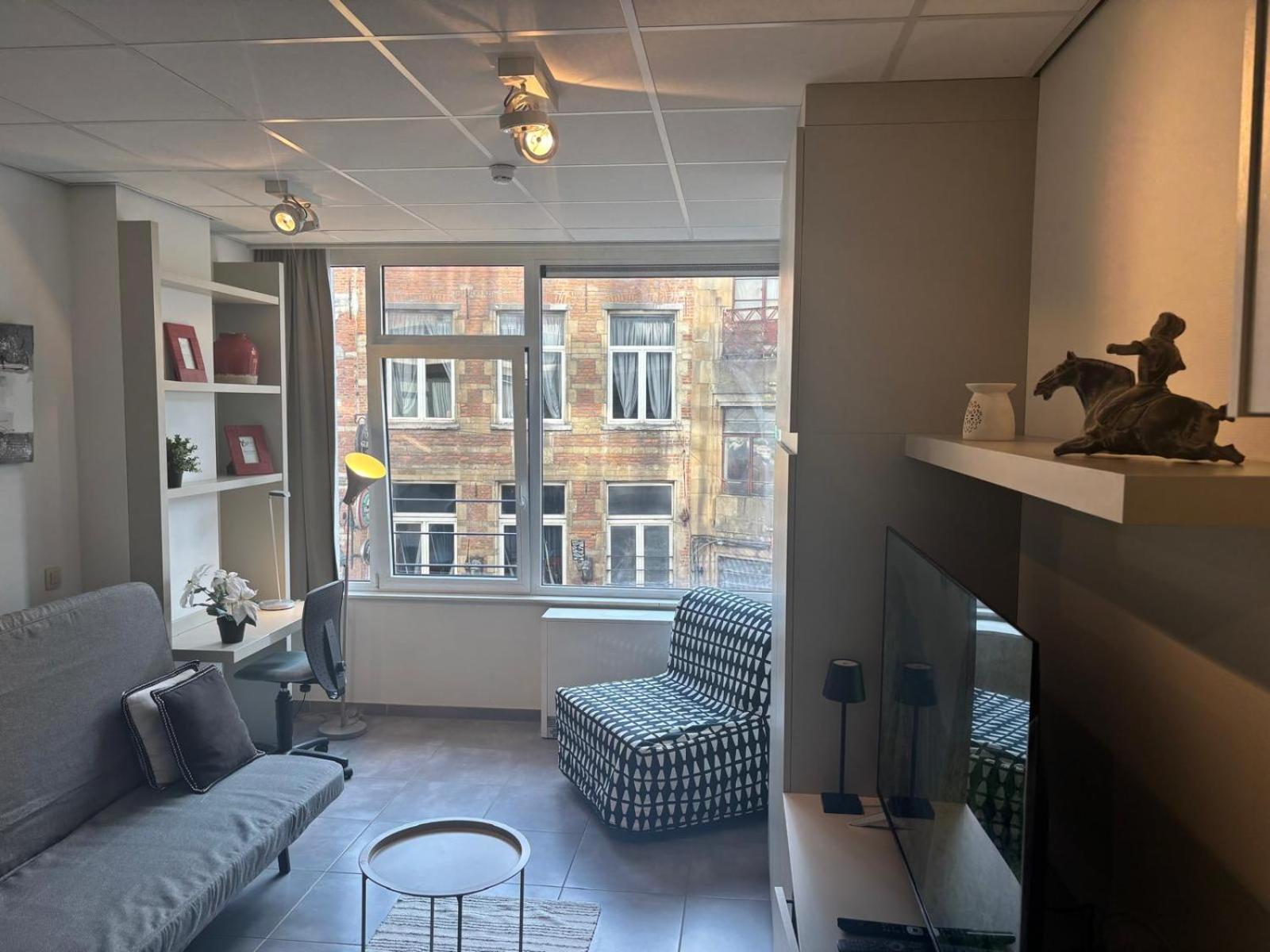 Apartment Charming In - Walk Everywhere! Brussels