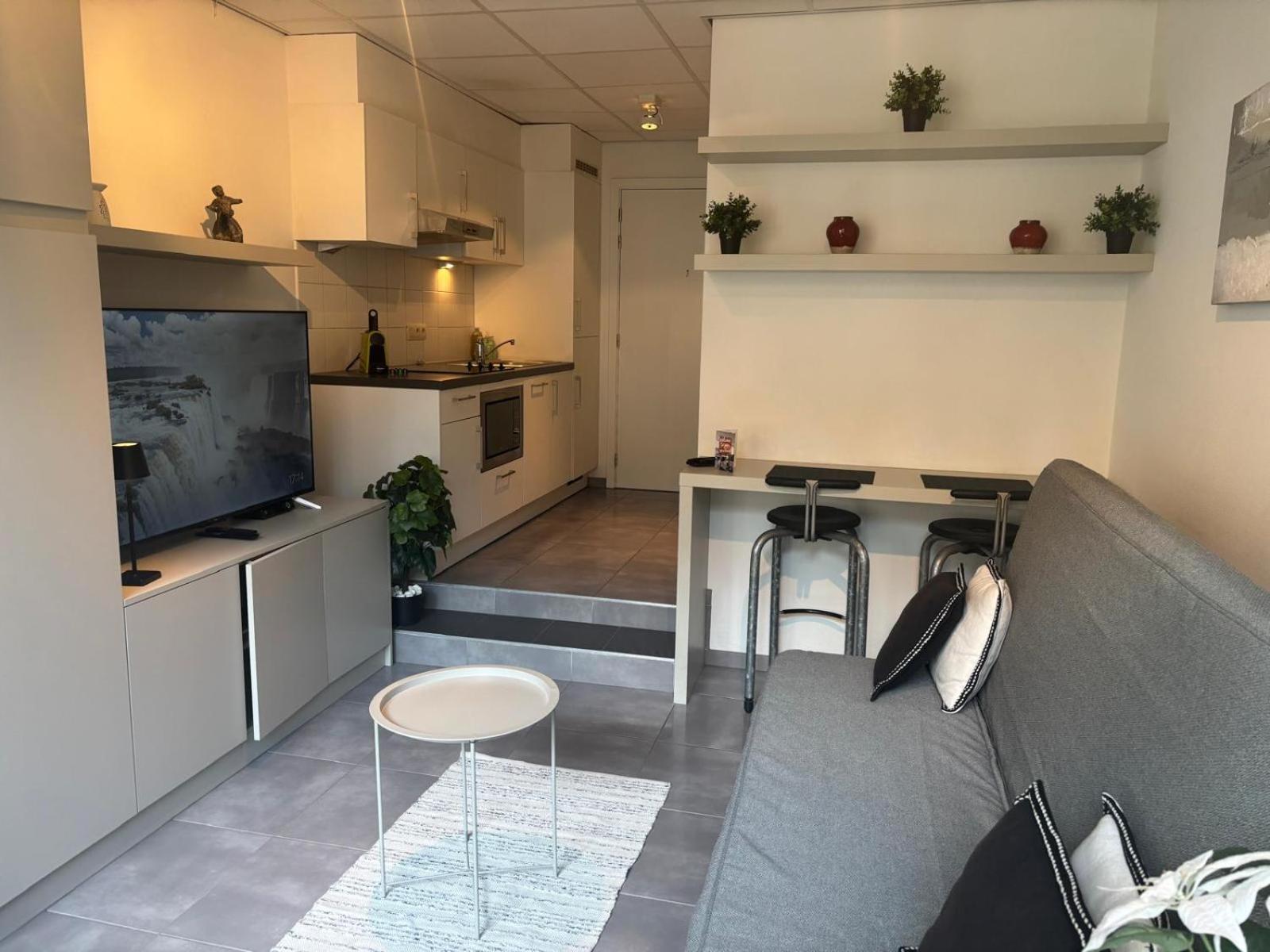 Charming In - Walk Everywhere! Brussels