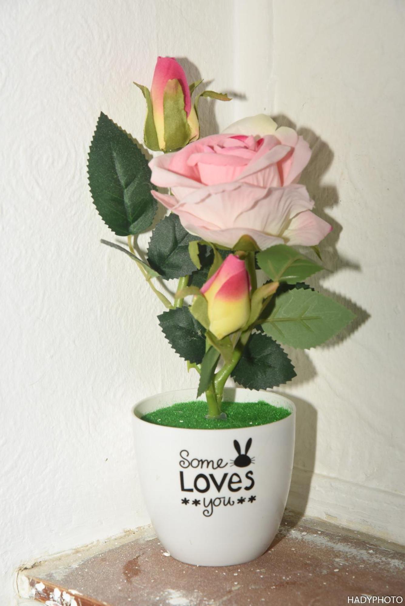 Confort Gare De L'ouest Apartment Brussels