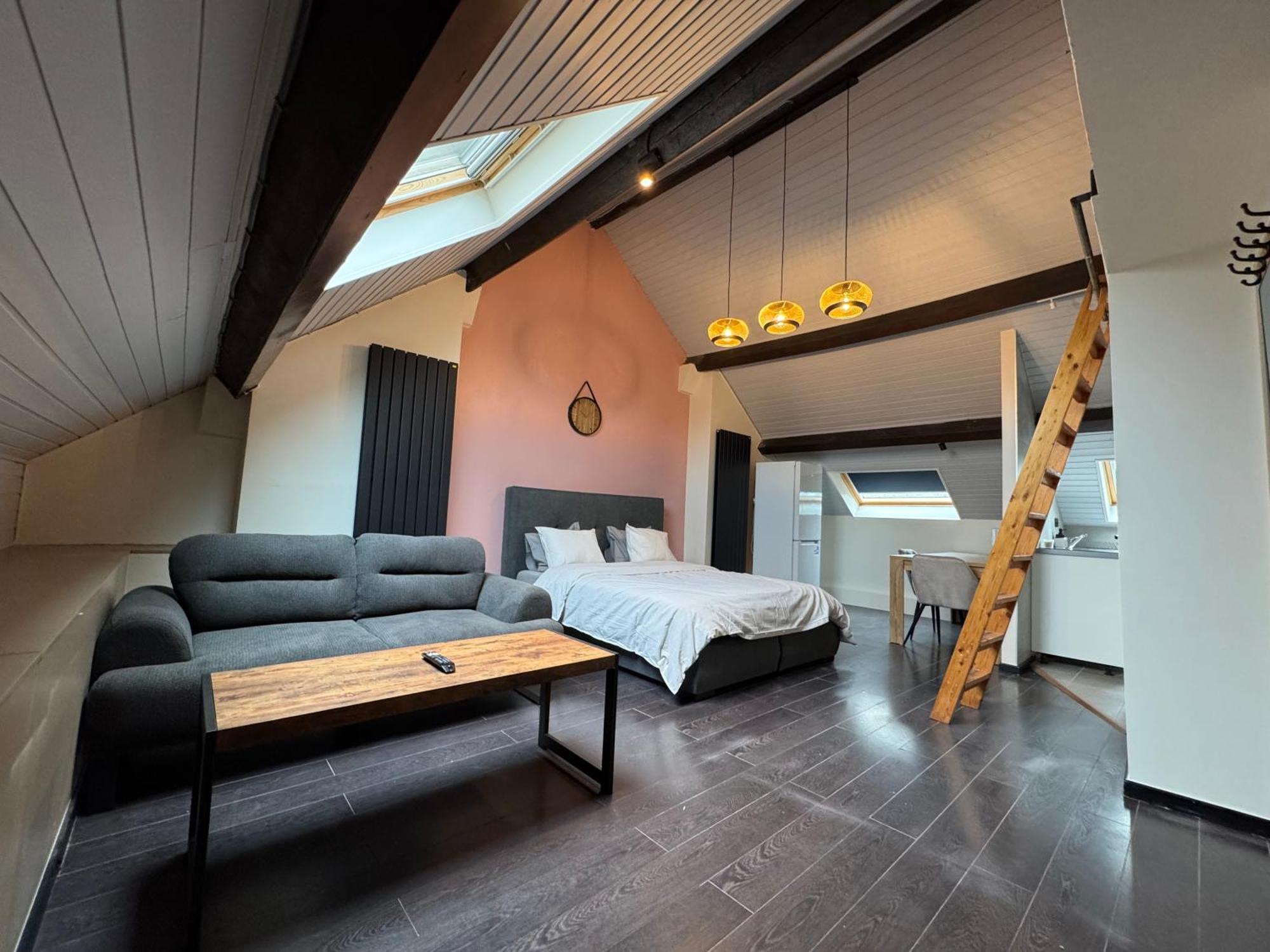 Joli Lumineux Apartment *