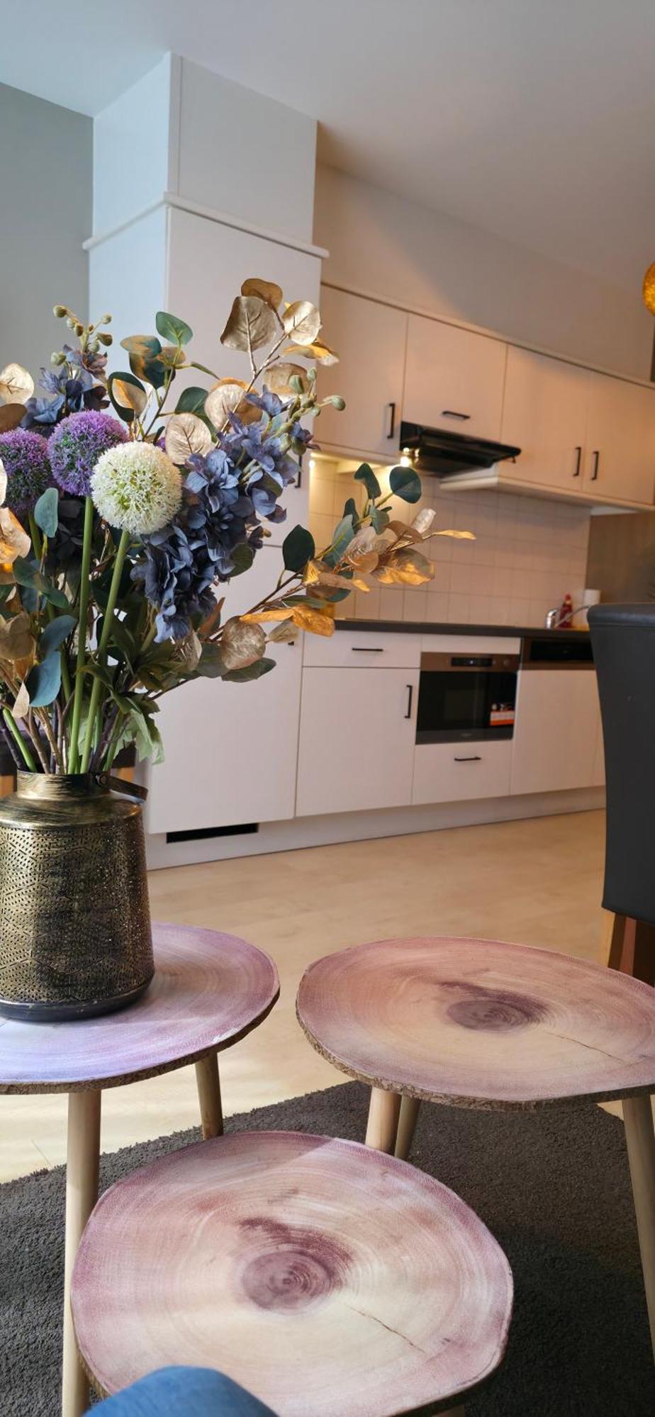 Apartment Cosy Jacqmain Brussels