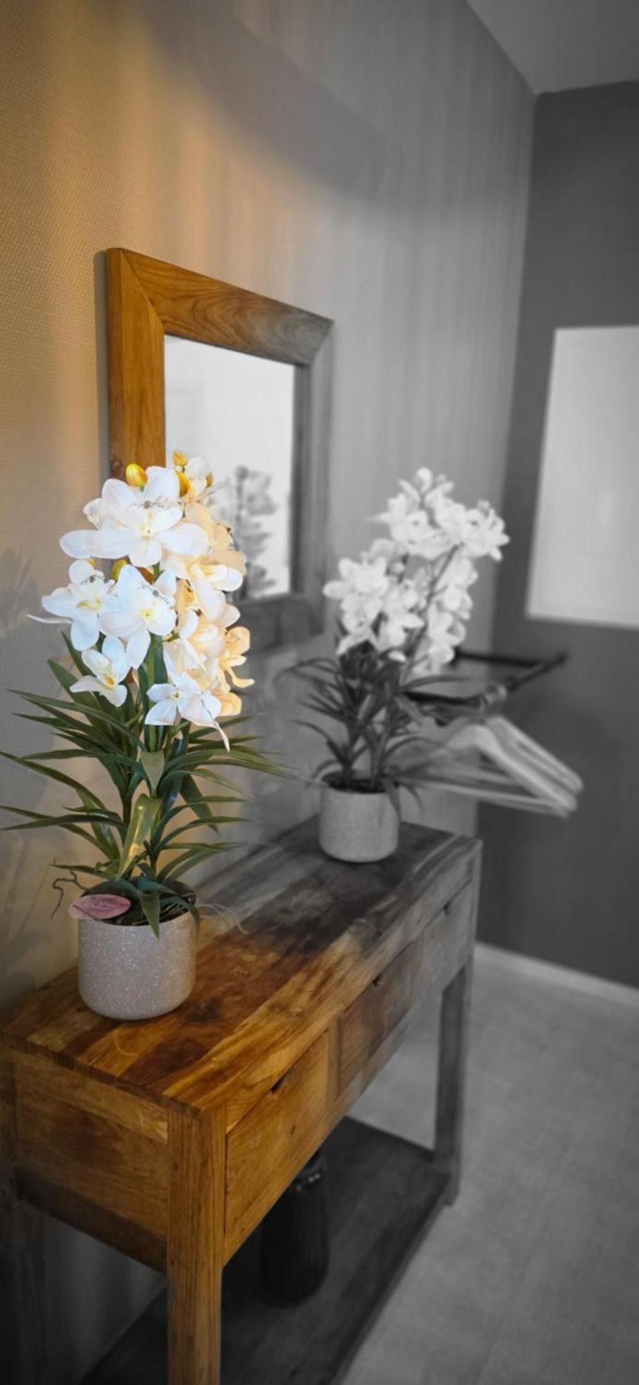 Appartement Cosy Jacqmain