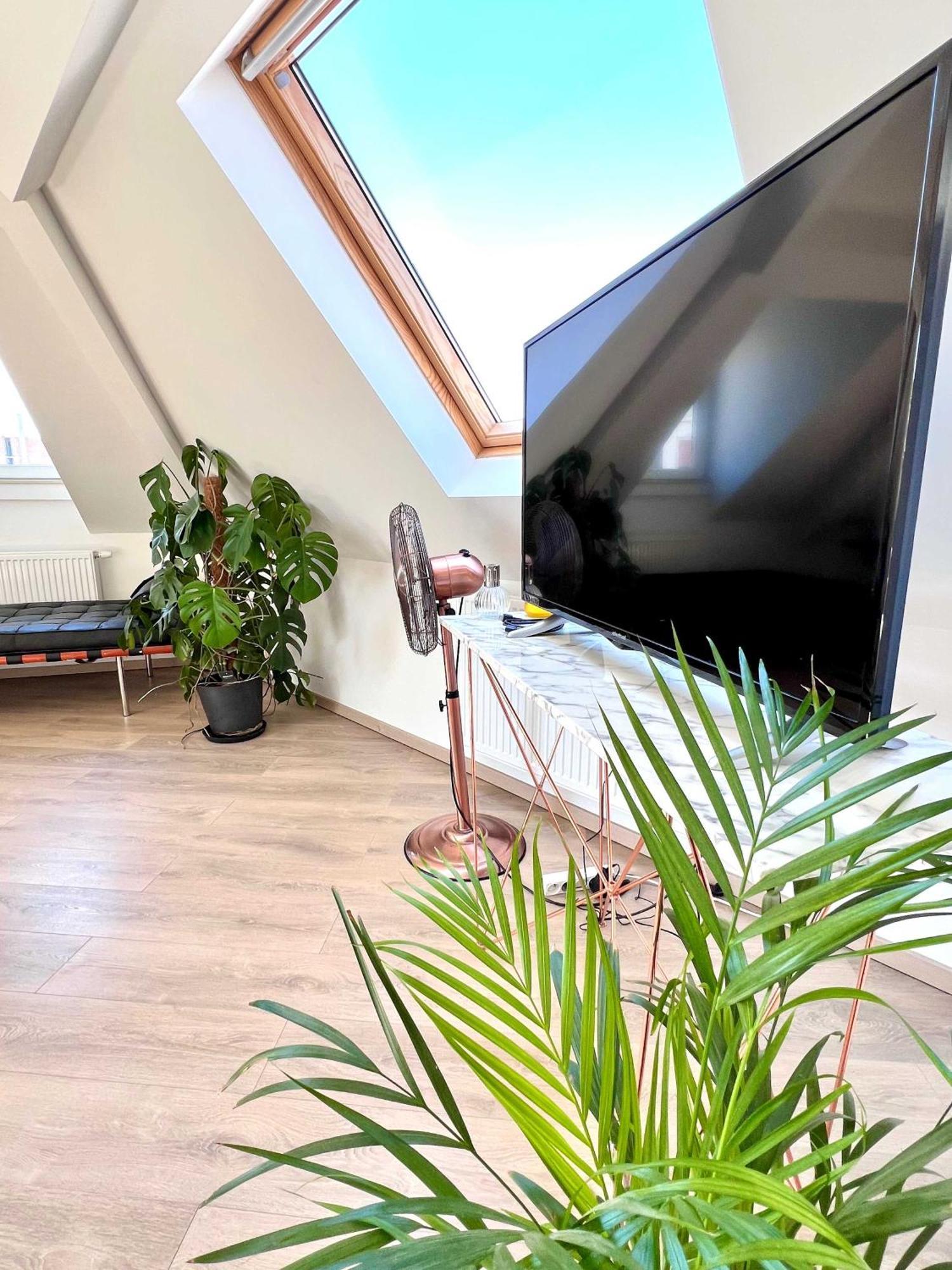 Modern Loft Near Eu Institutions * Brussels