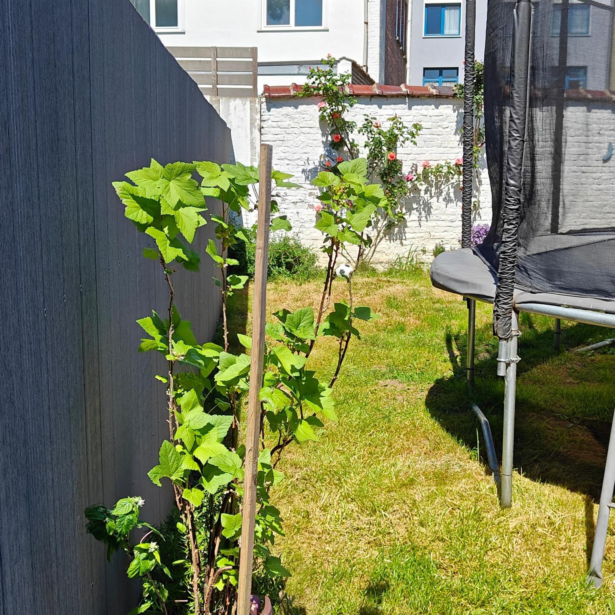 Cosy 2 Bedroom With Private Garden Brussels