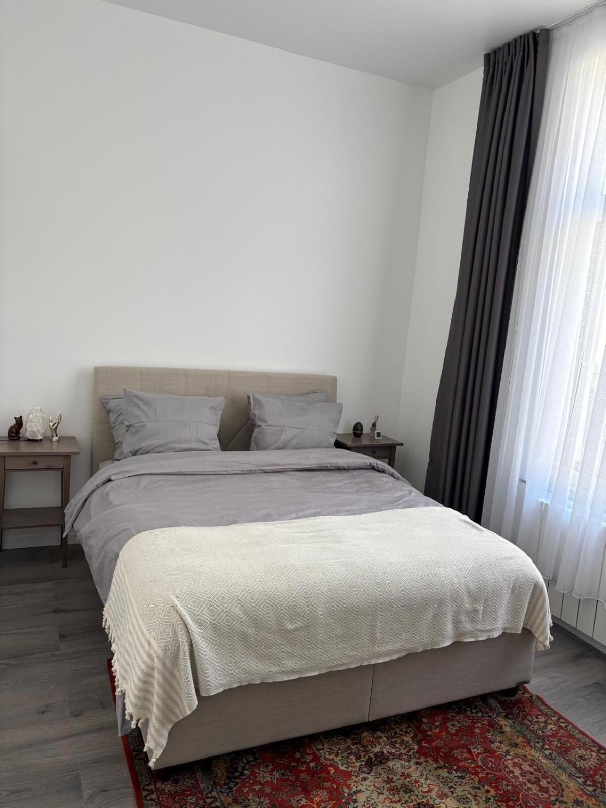Apartment Modern Comfort 1 Bedroom And Sofa Bed *