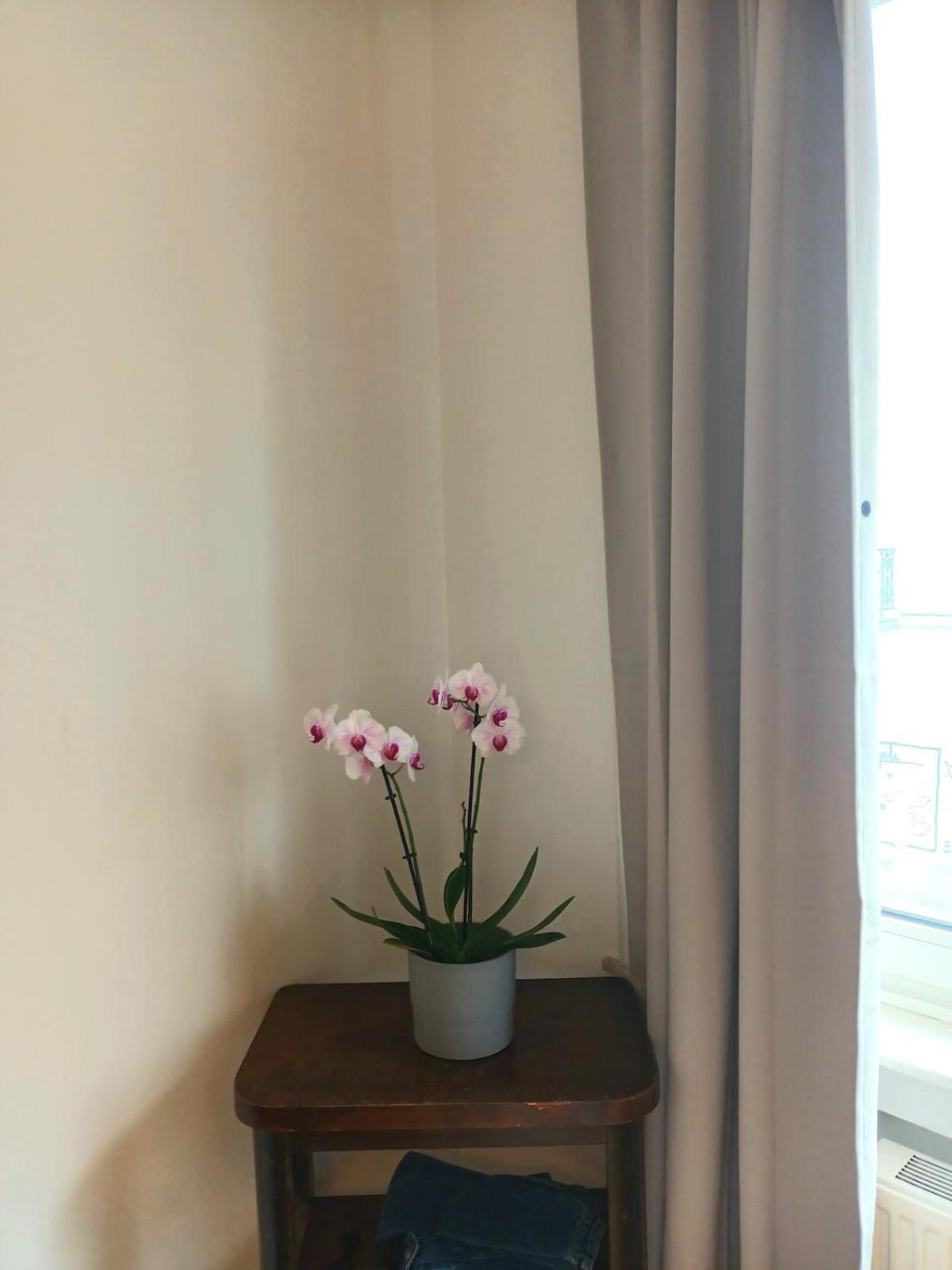 Beautiful 2 Bedroom In Place Flagey Bxl Brussels