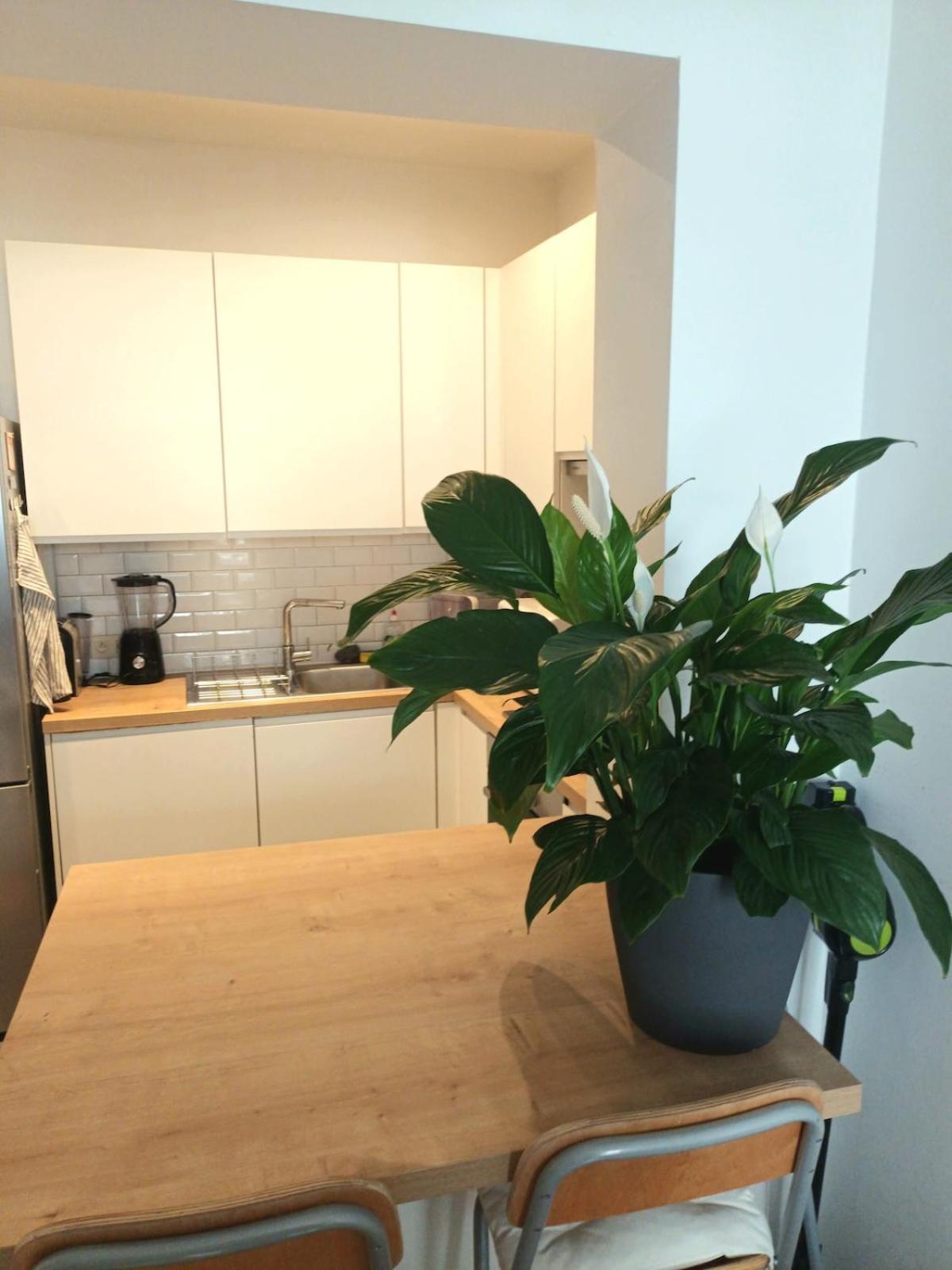 Apartment Beautiful 2 Bedroom In Place Flagey Bxl Brussels