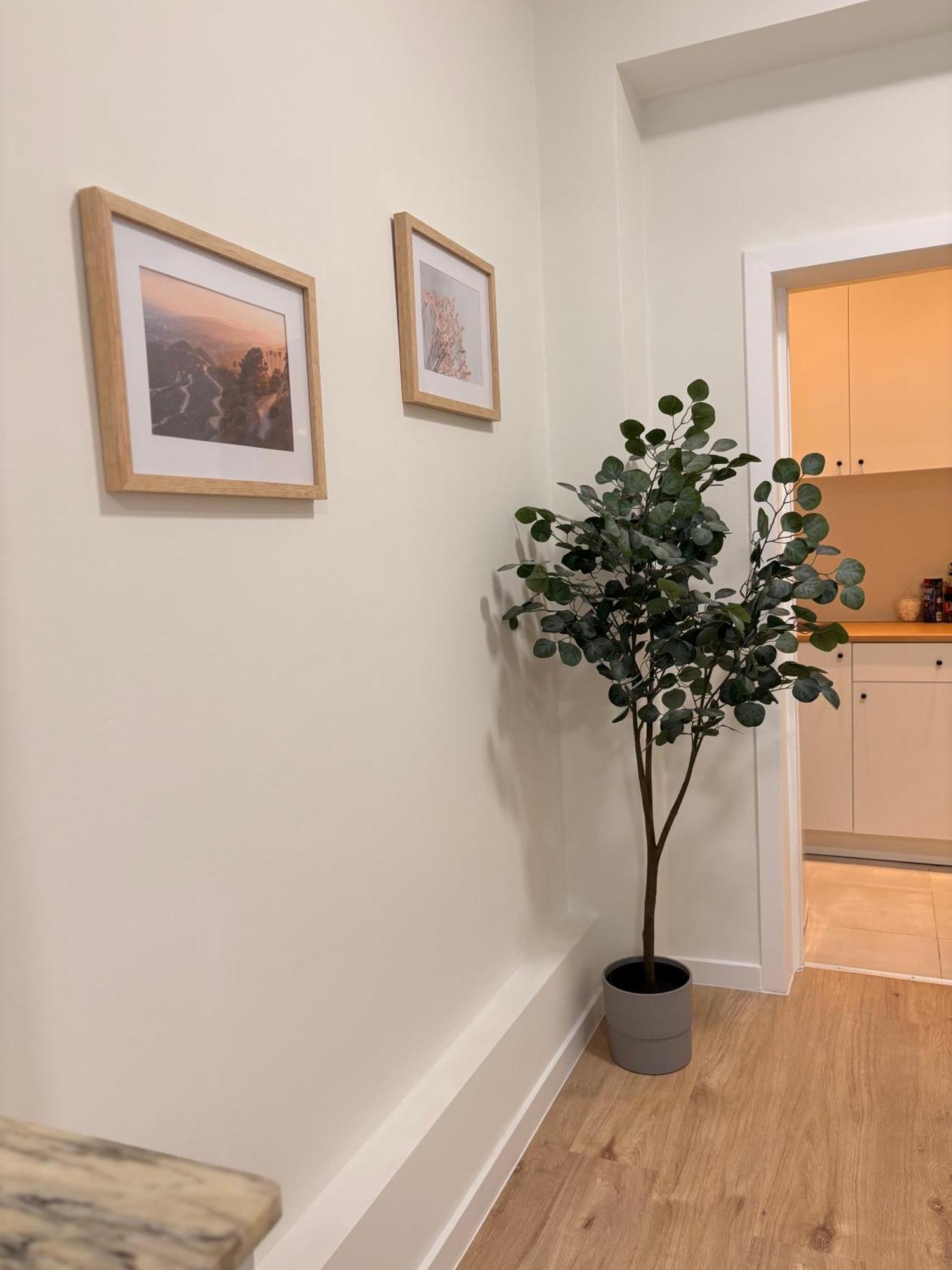 Fully Renovated Studio Near Brussels Centre & Midi Bruxelas