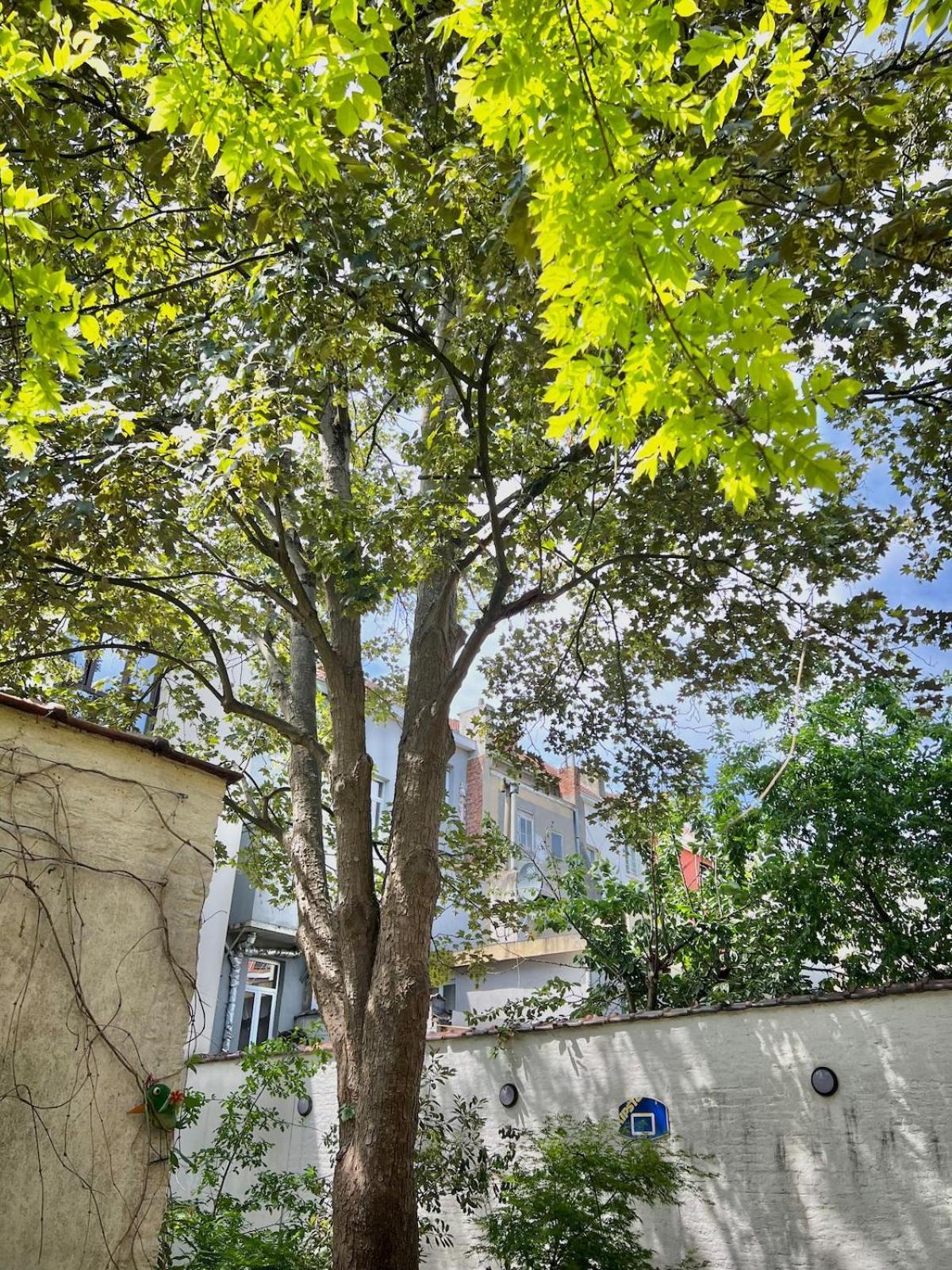 Sejour Atypique En Famille Appartement Brussel