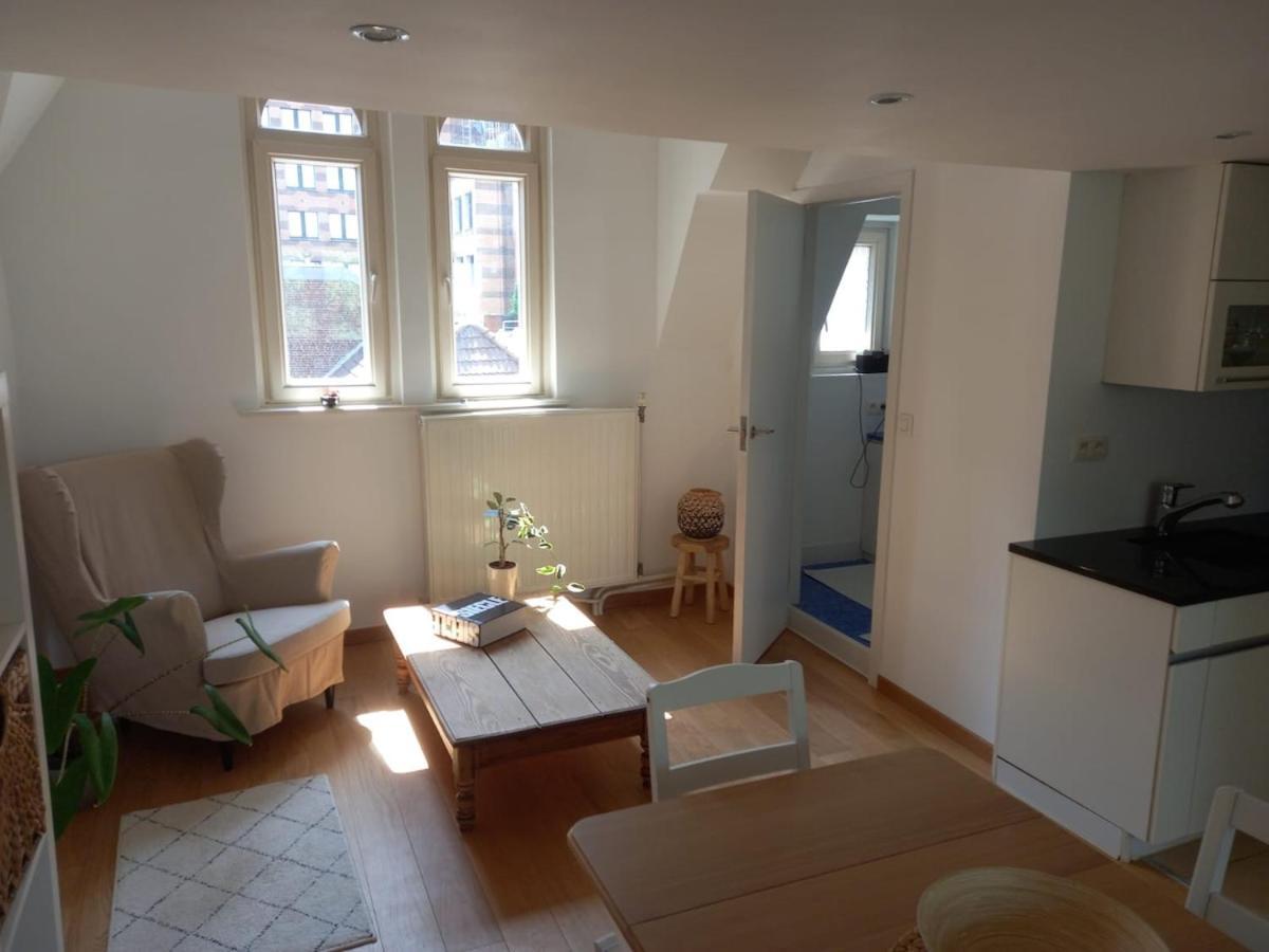 Maison Du Cinquantenaire - The Jubilee Loft *