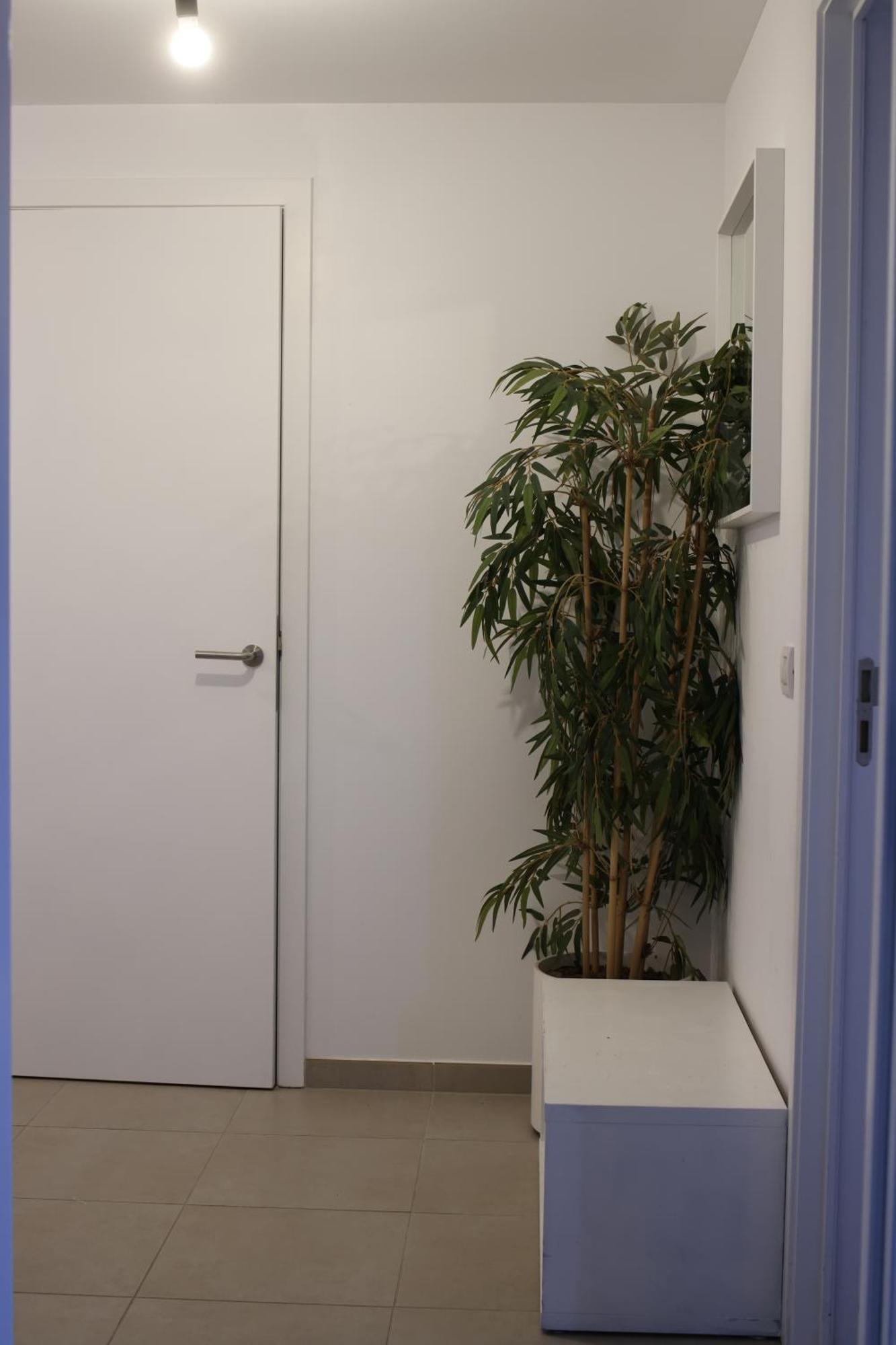 Flat * Brussel