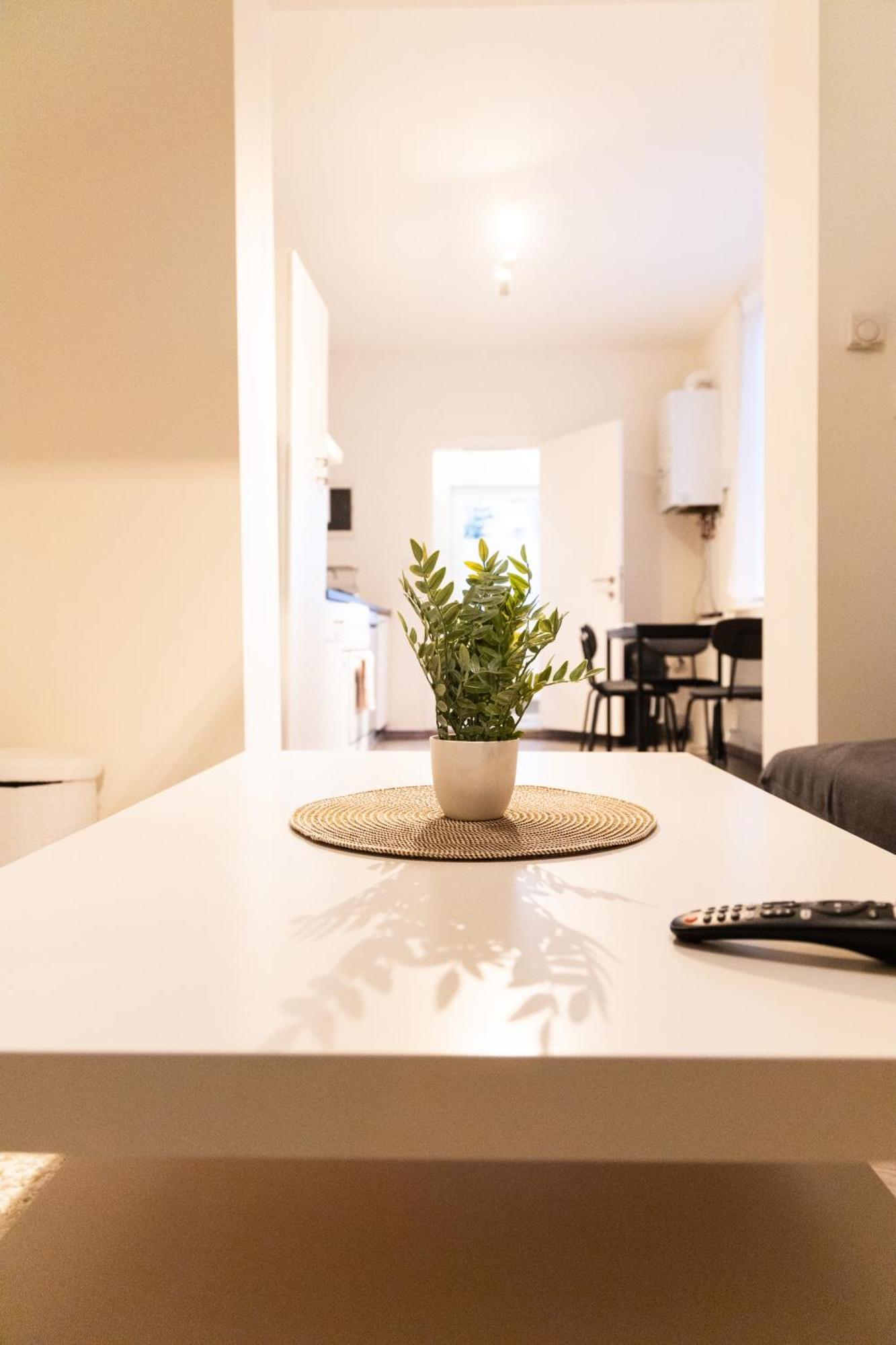 Sous Toit Lumineux Avec Garage Et 4 Pieces En Enfilade Brussels