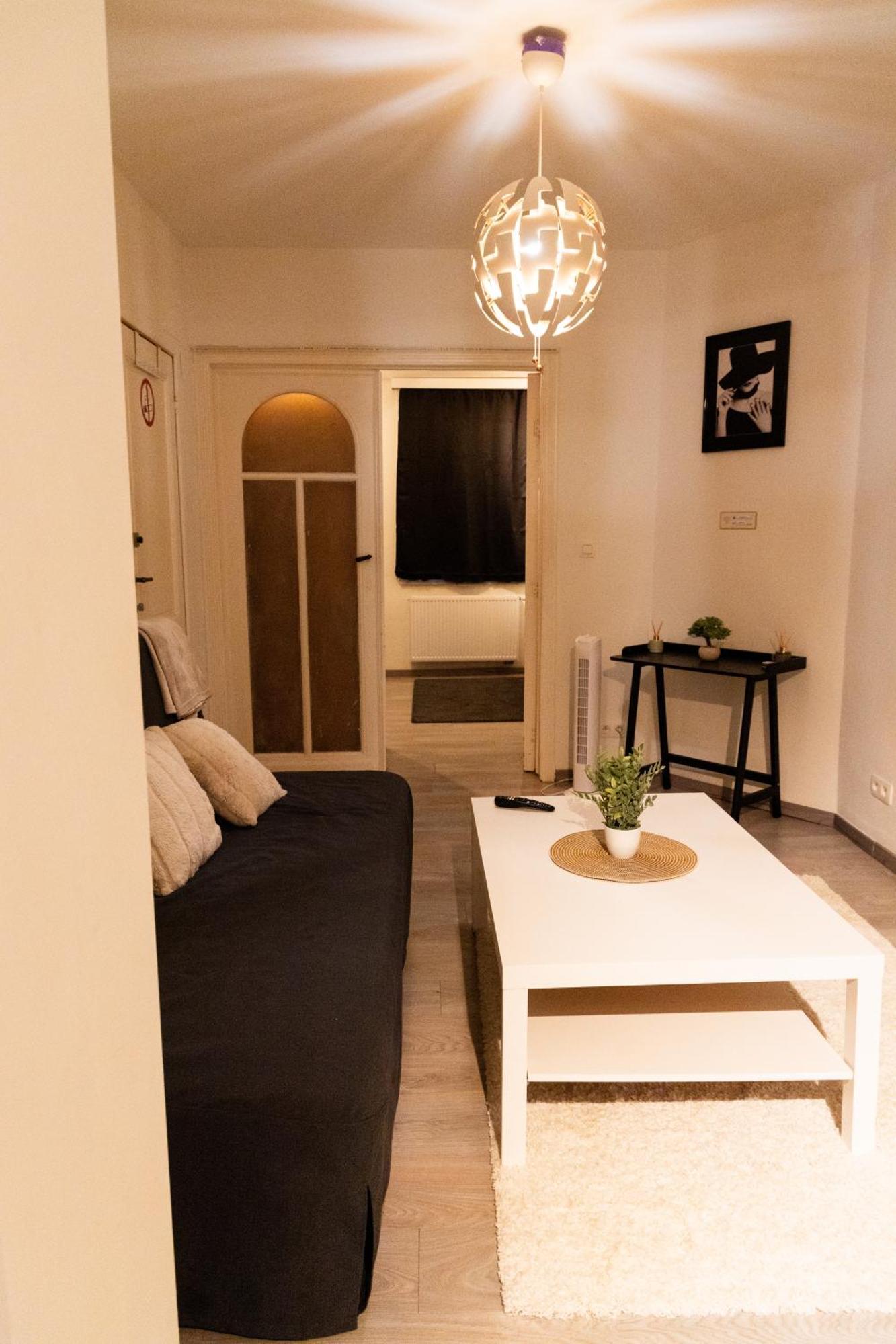 Sous Toit Lumineux Avec Garage Et 4 Pieces En Enfilade Apartment