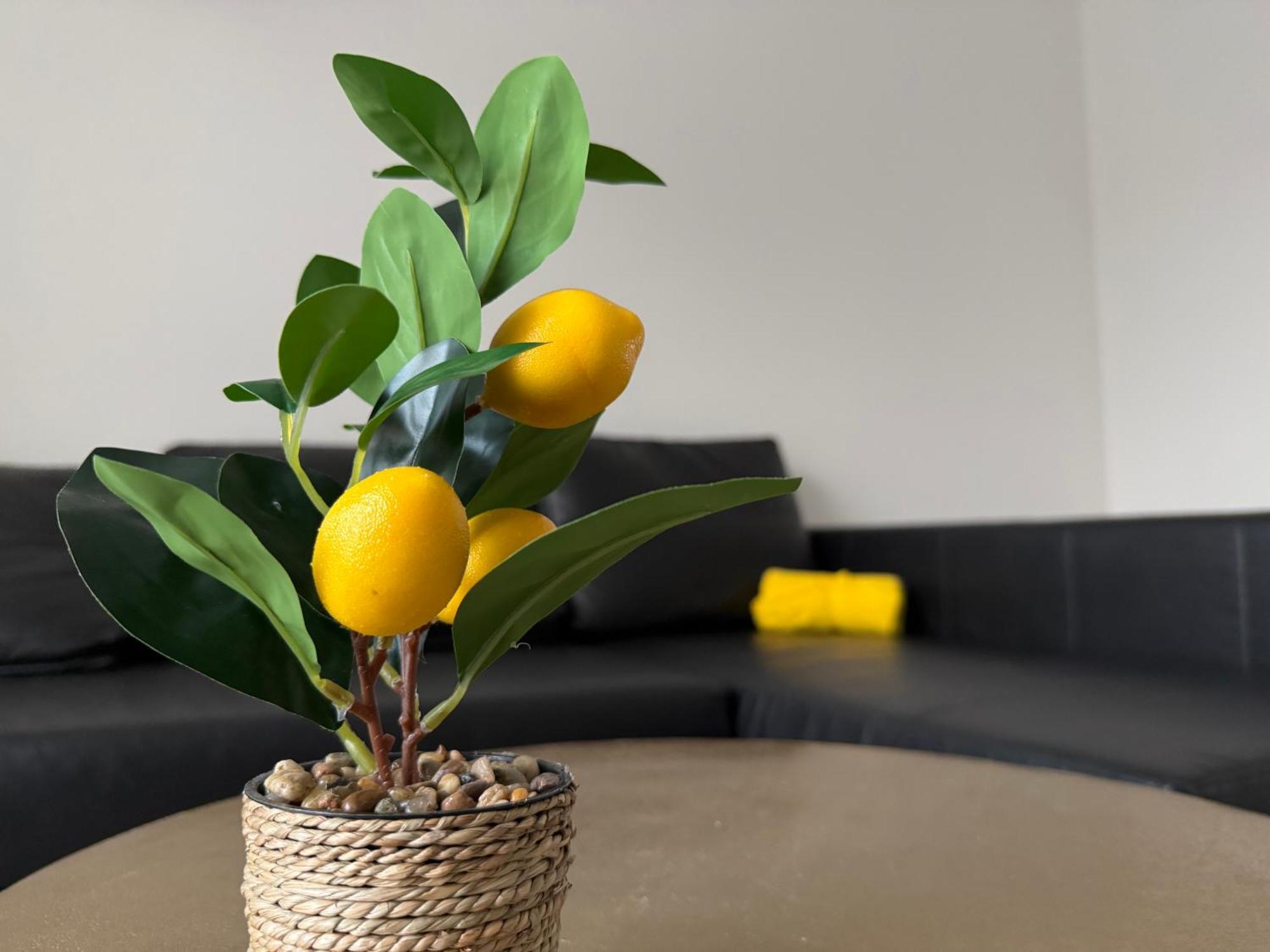 Oasis Appartement