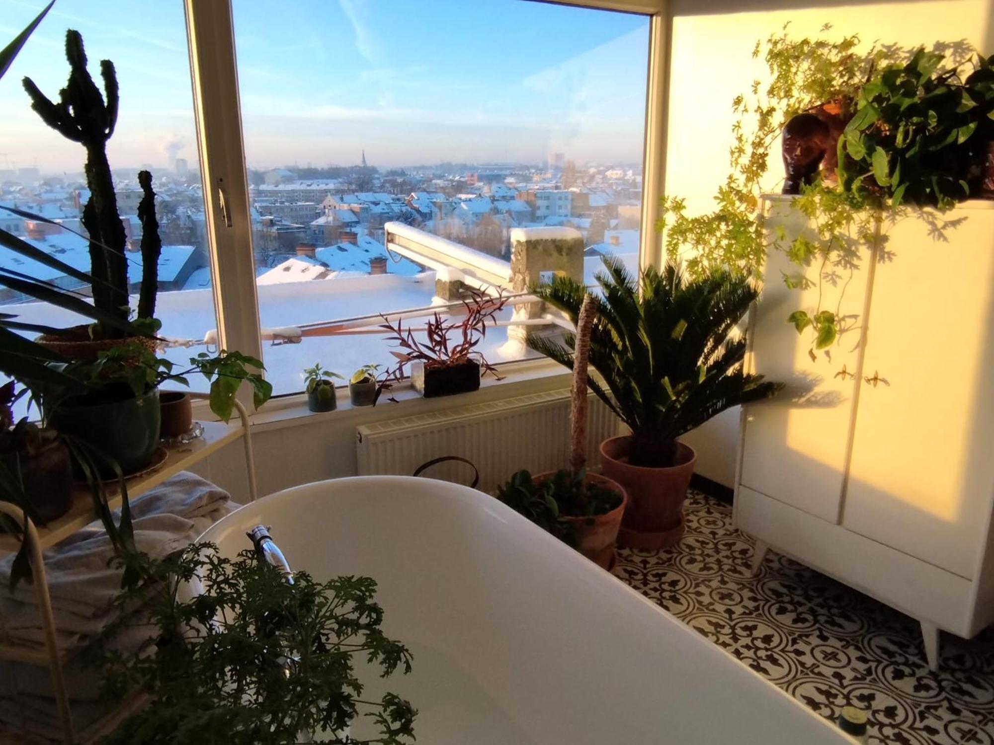 Apartment Luxurious Duplex Overlooking Brussels