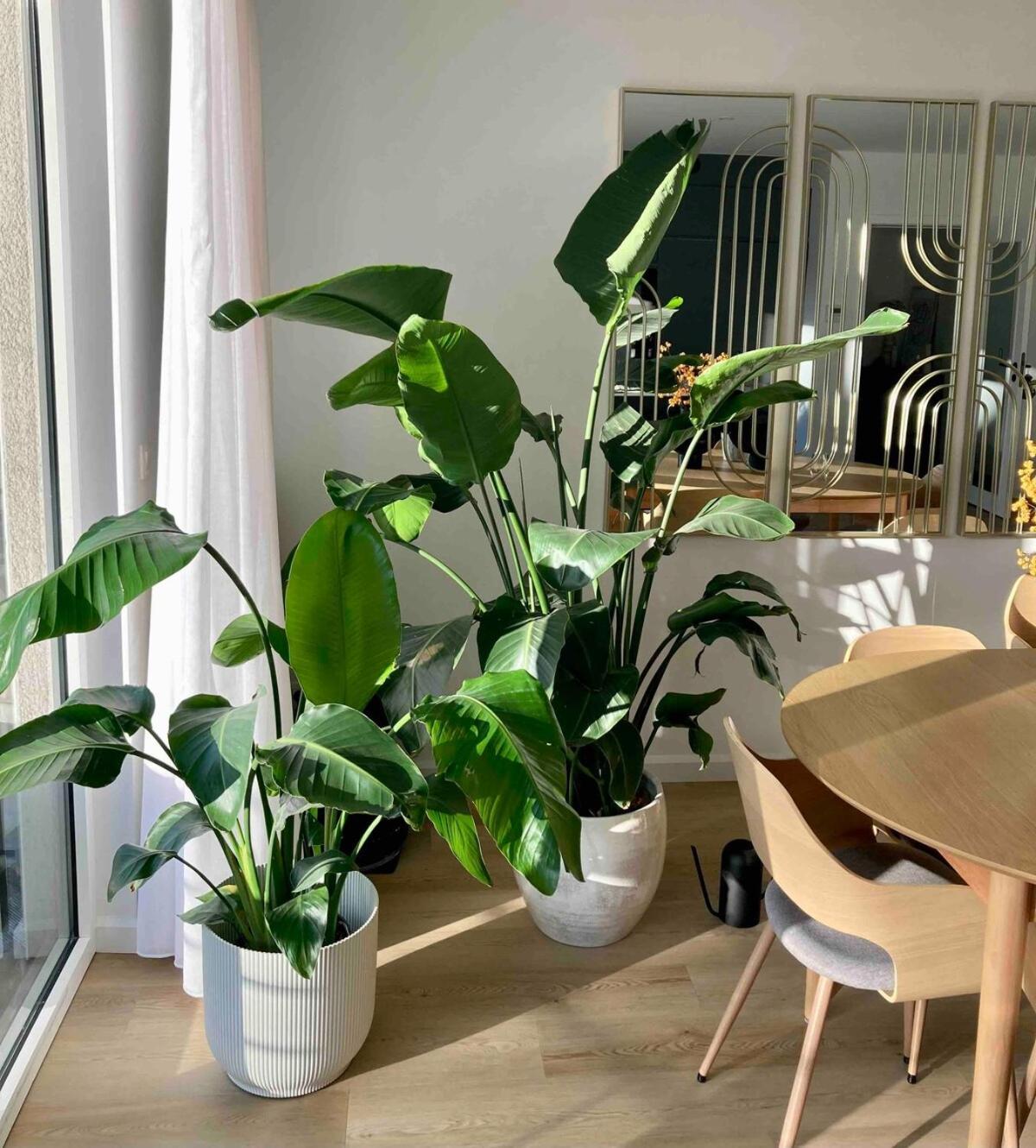 Stylish Flat,90m2, In A Great Location Apartment