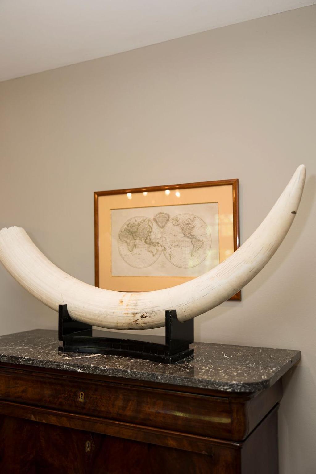 The Castle Villa Brussels