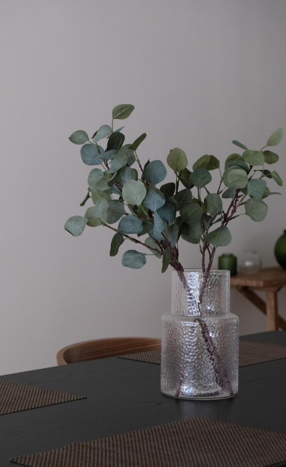 Apartment Center Spacious And *