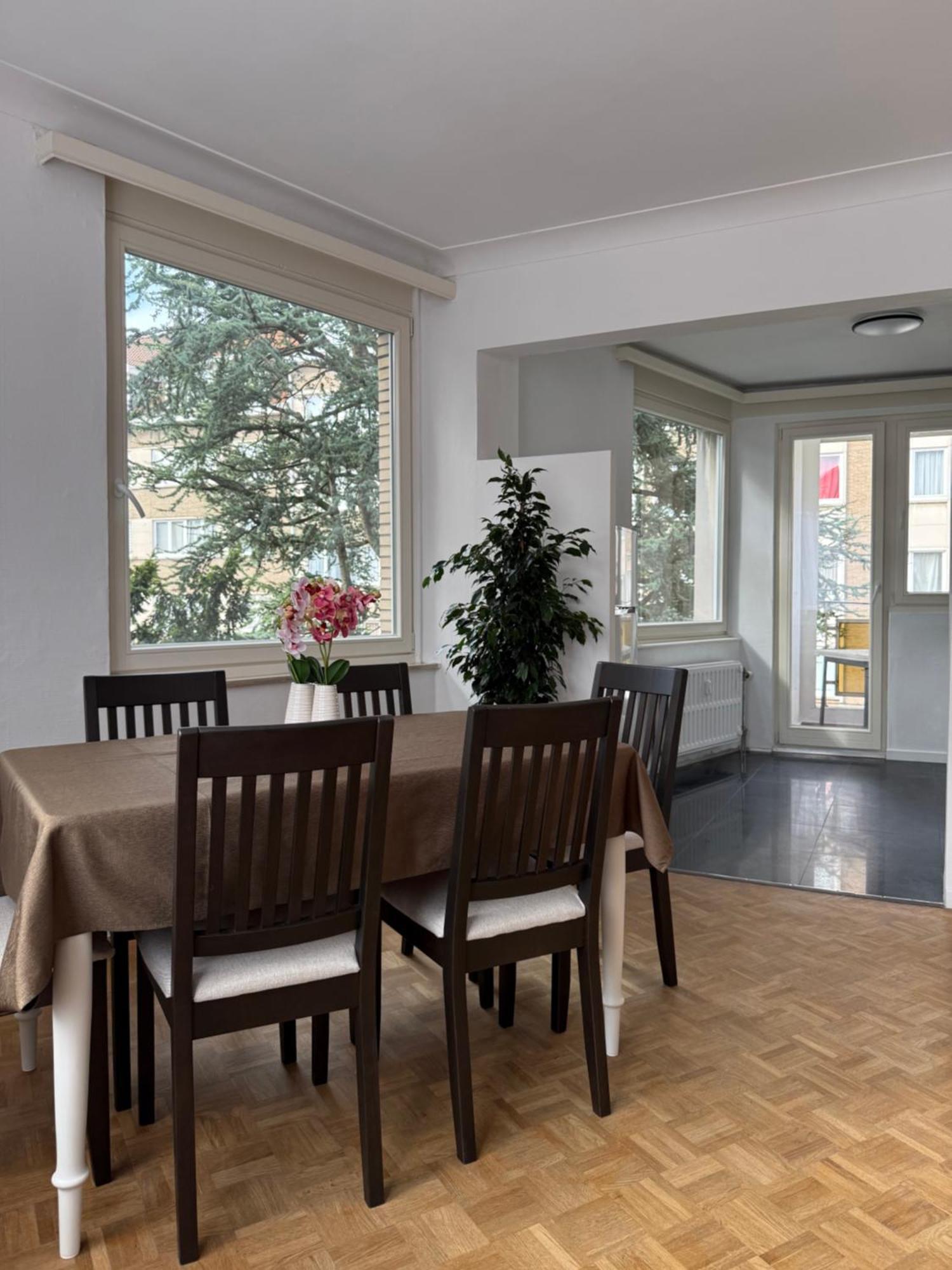 Atomium Canopy Apartment Brussels